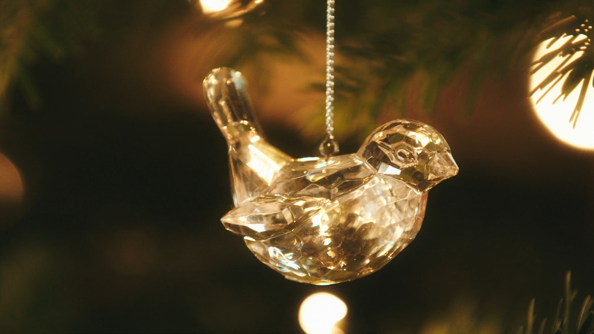 Backdrop for Mary Berry Saves Christmas