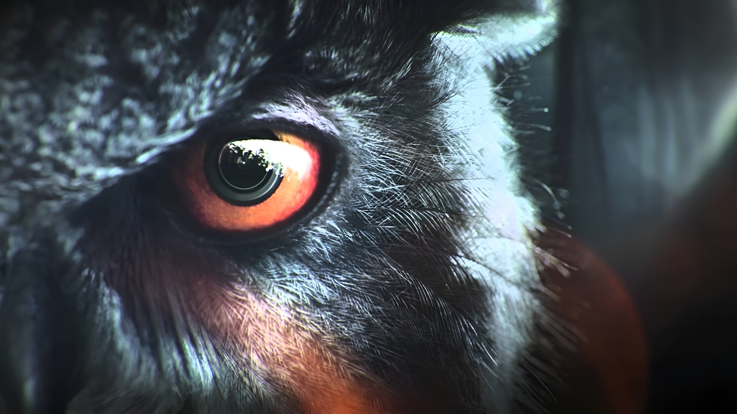 Backdrop for 100 Code