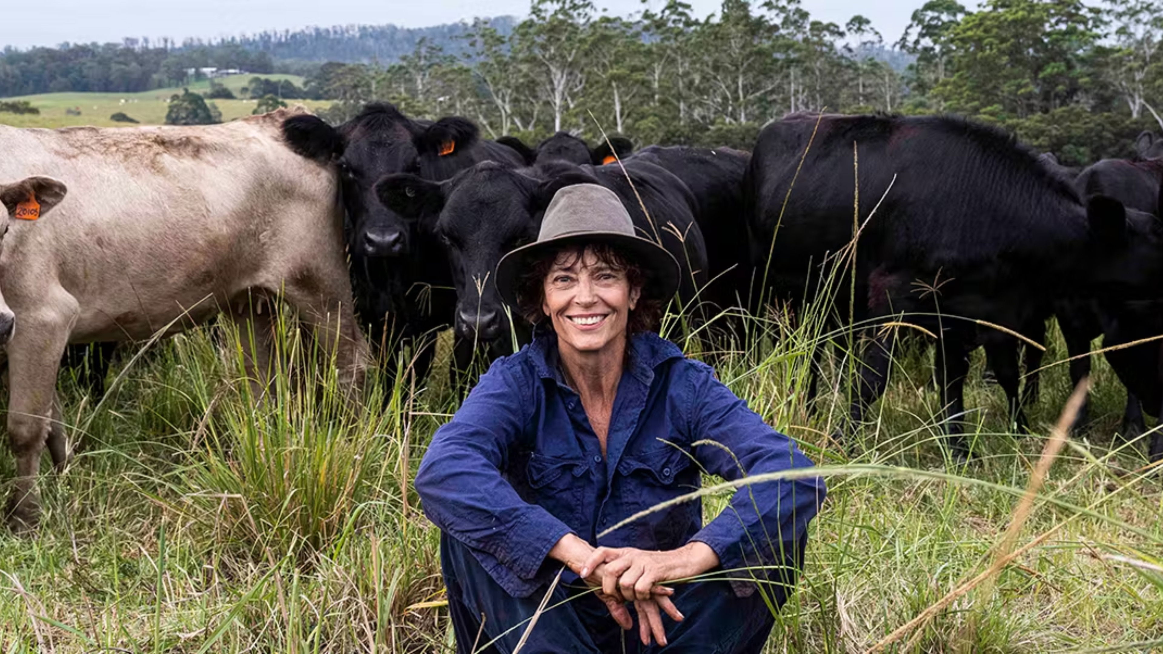Backdrop for Rachel's Farm