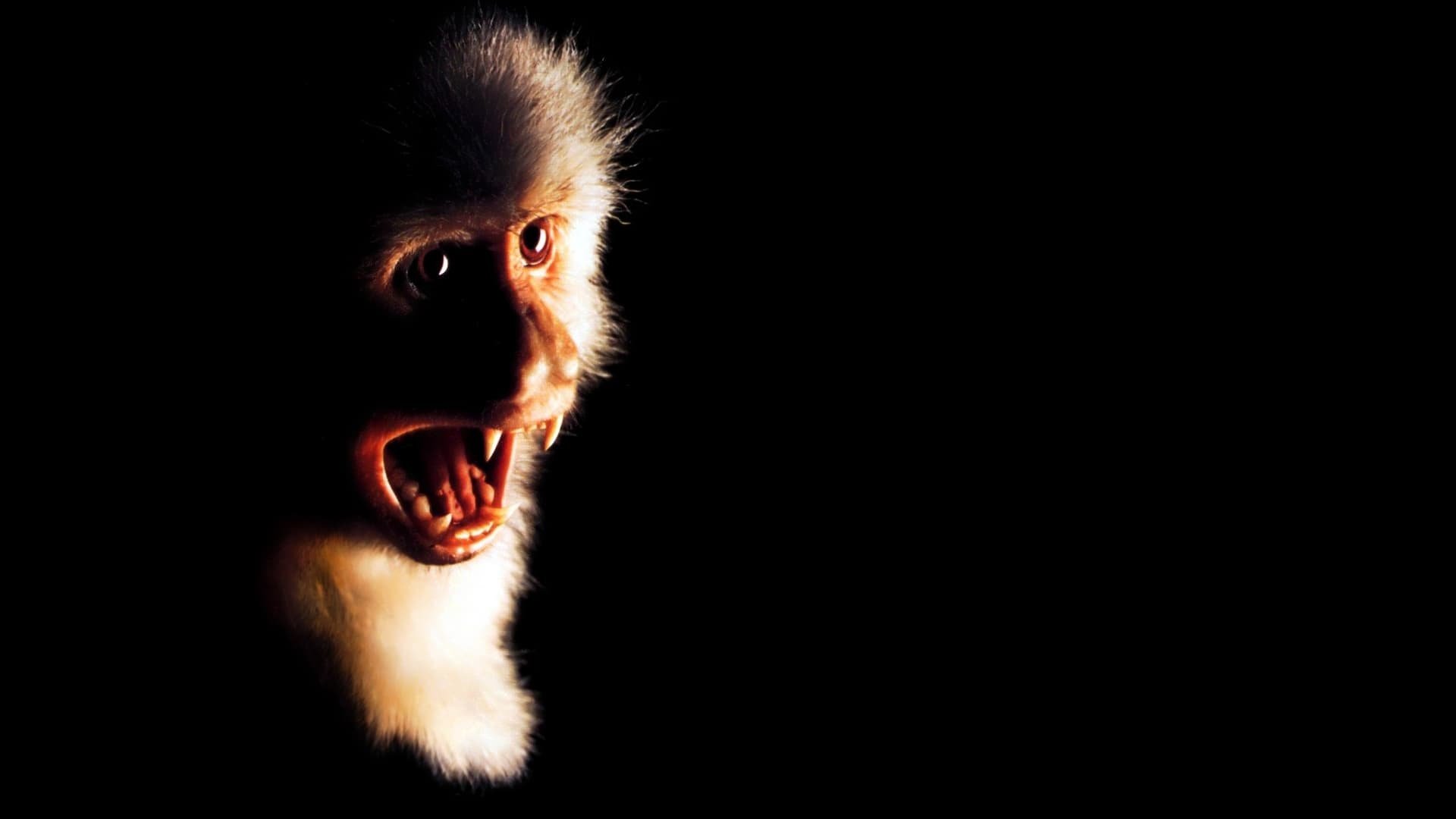 Backdrop for Outbreak