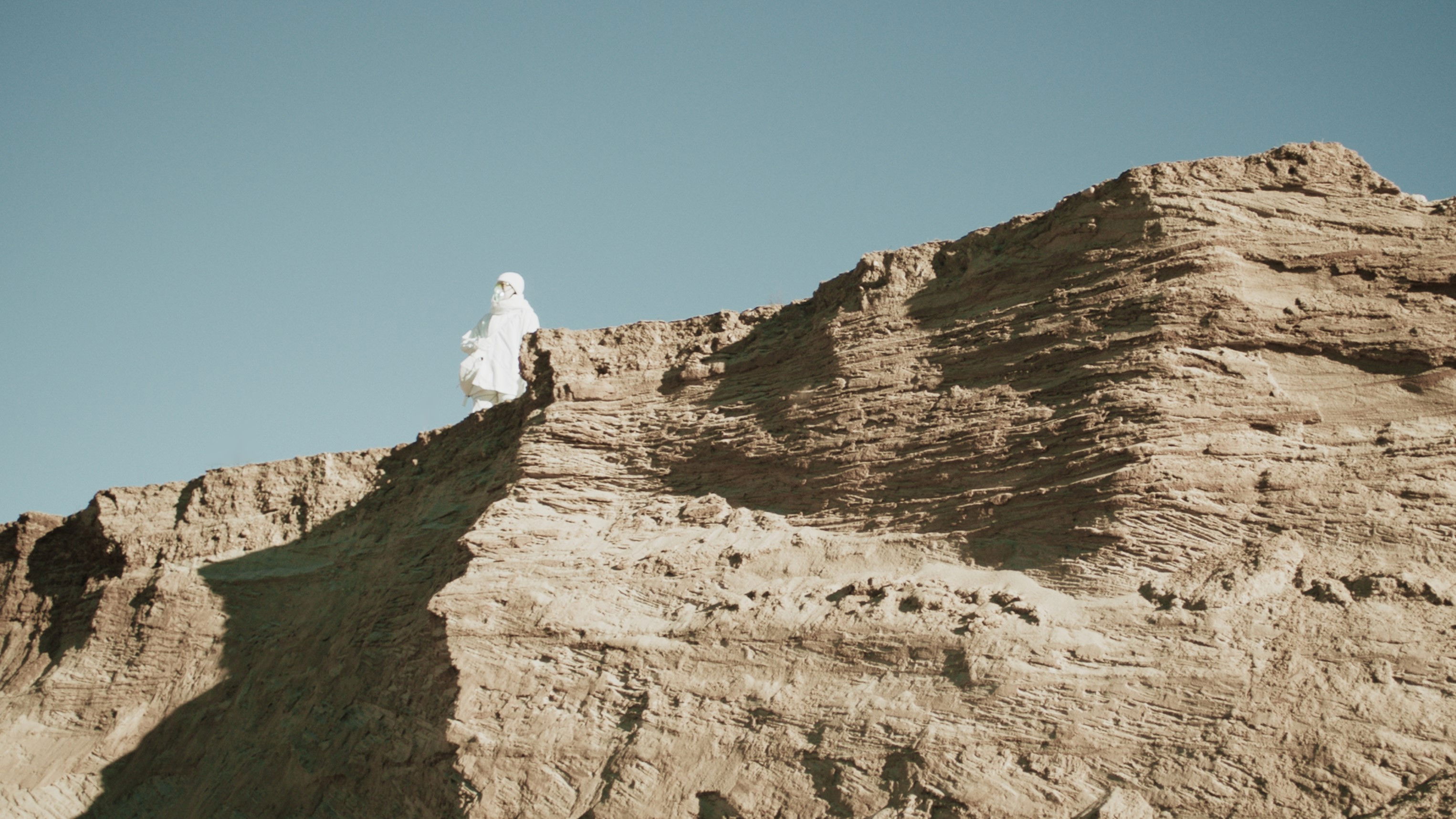 Backdrop for Symbiotik