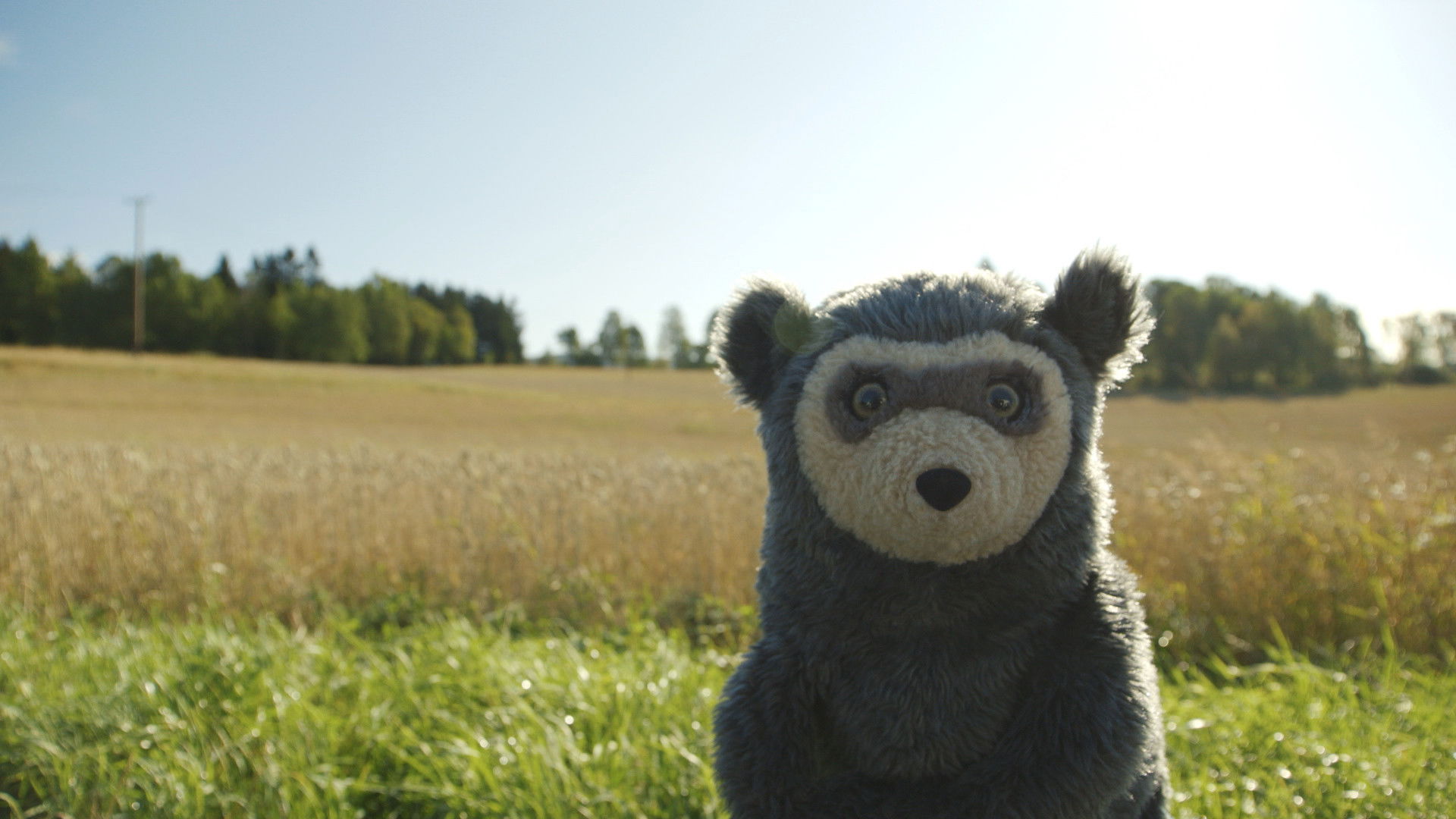 Backdrop for Bo Bear