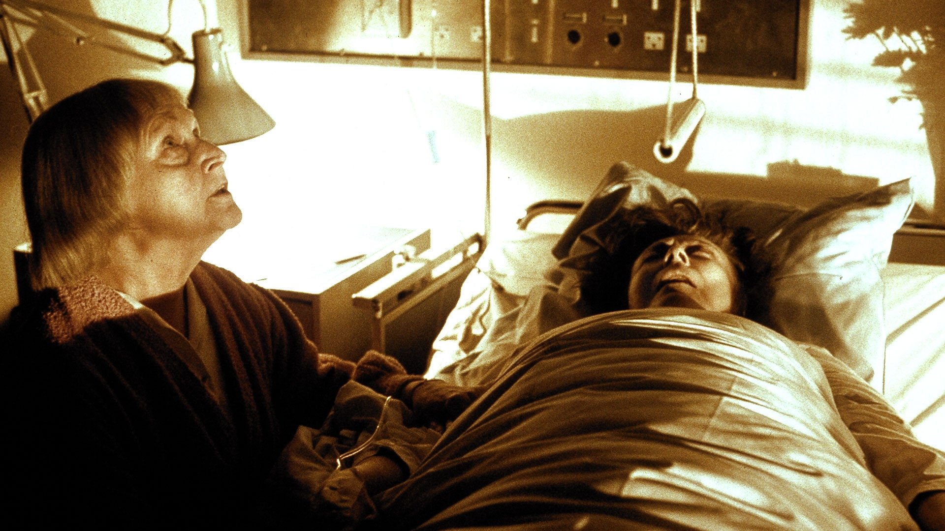 Backdrop for The Kingdom