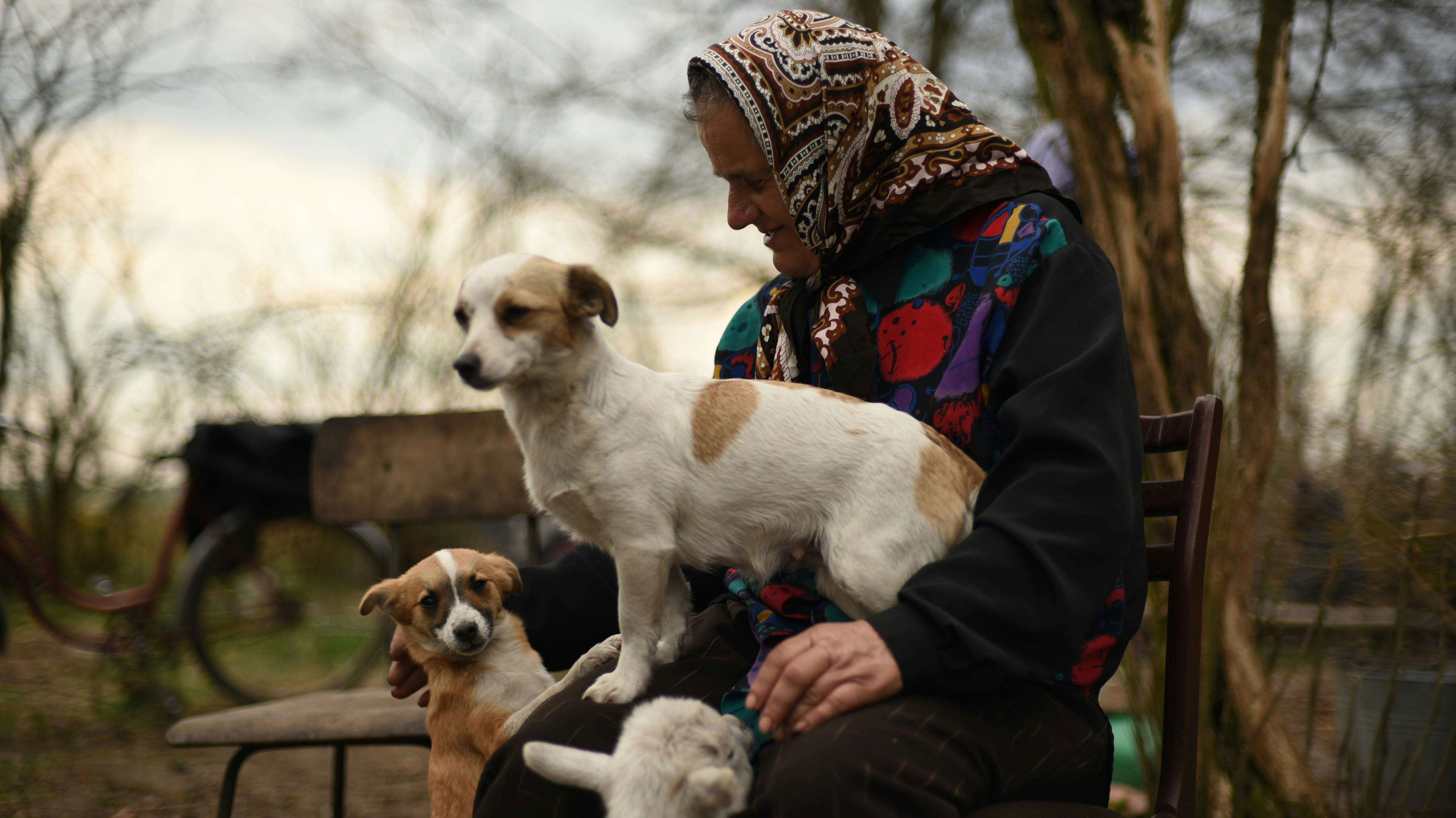 Backdrop for Bucolic