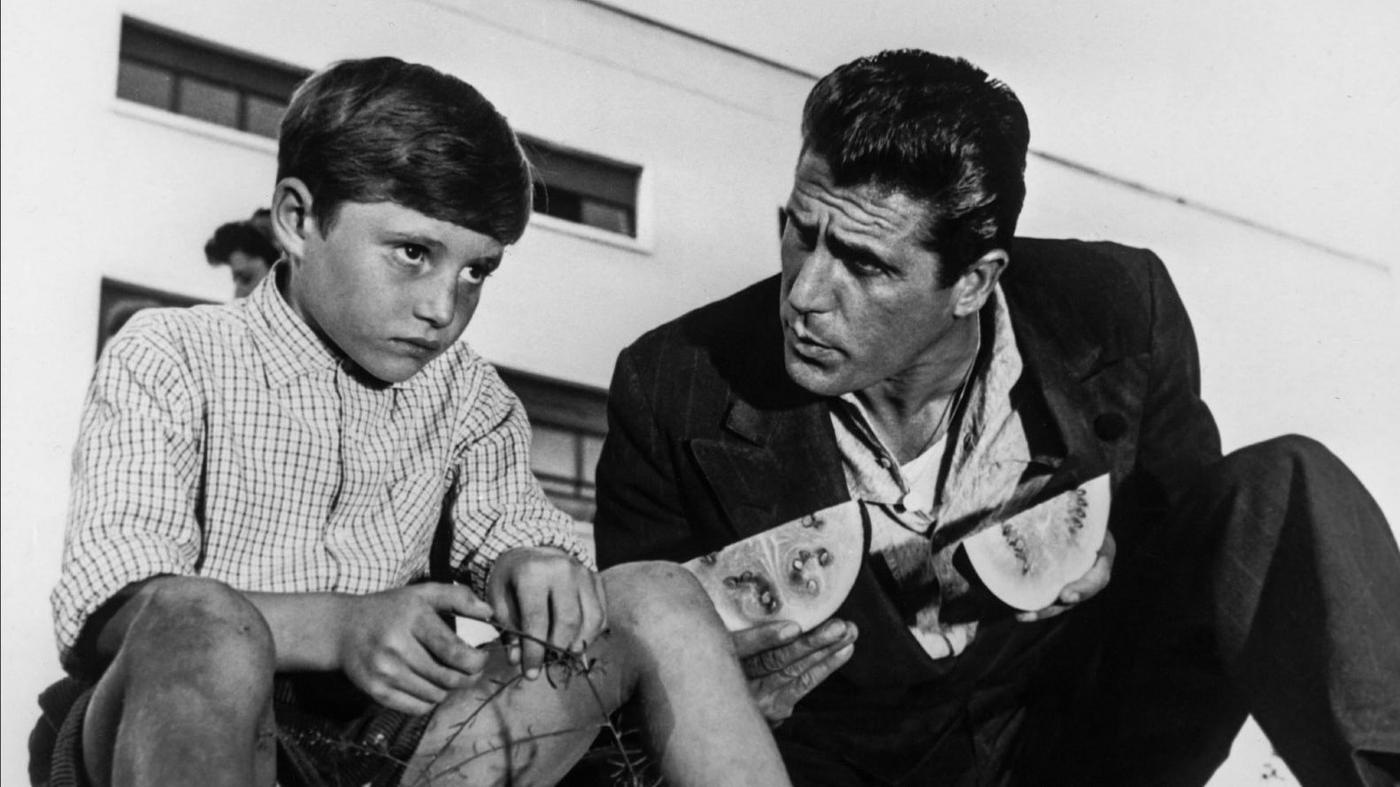 Backdrop for The Window to Luna Park