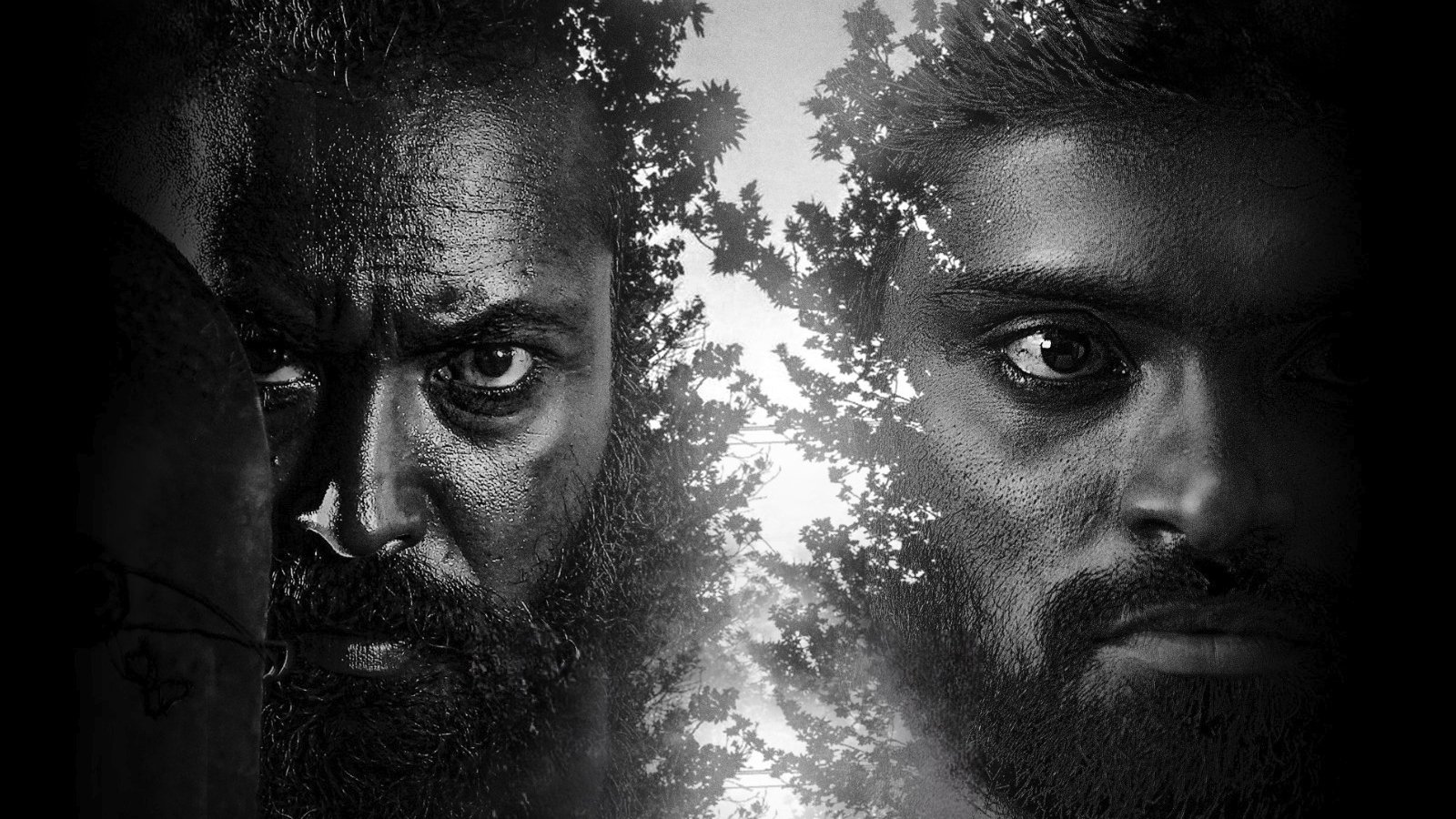 Backdrop for Red Sandal Wood