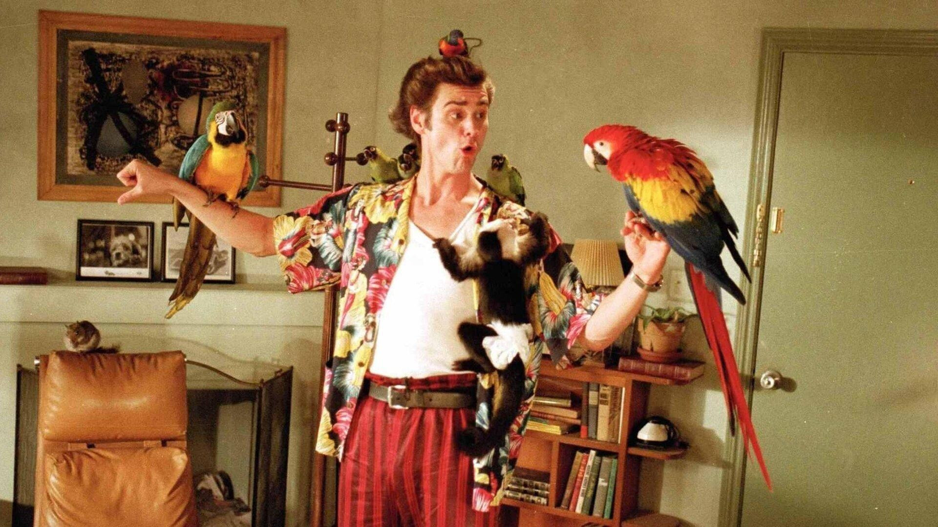 Backdrop for Ace Ventura: Pet Detective