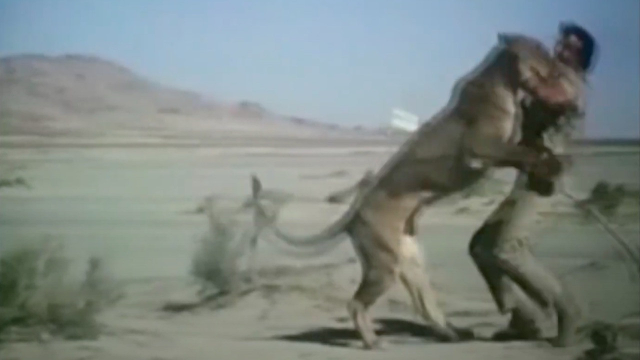 Backdrop for Escape from Angola