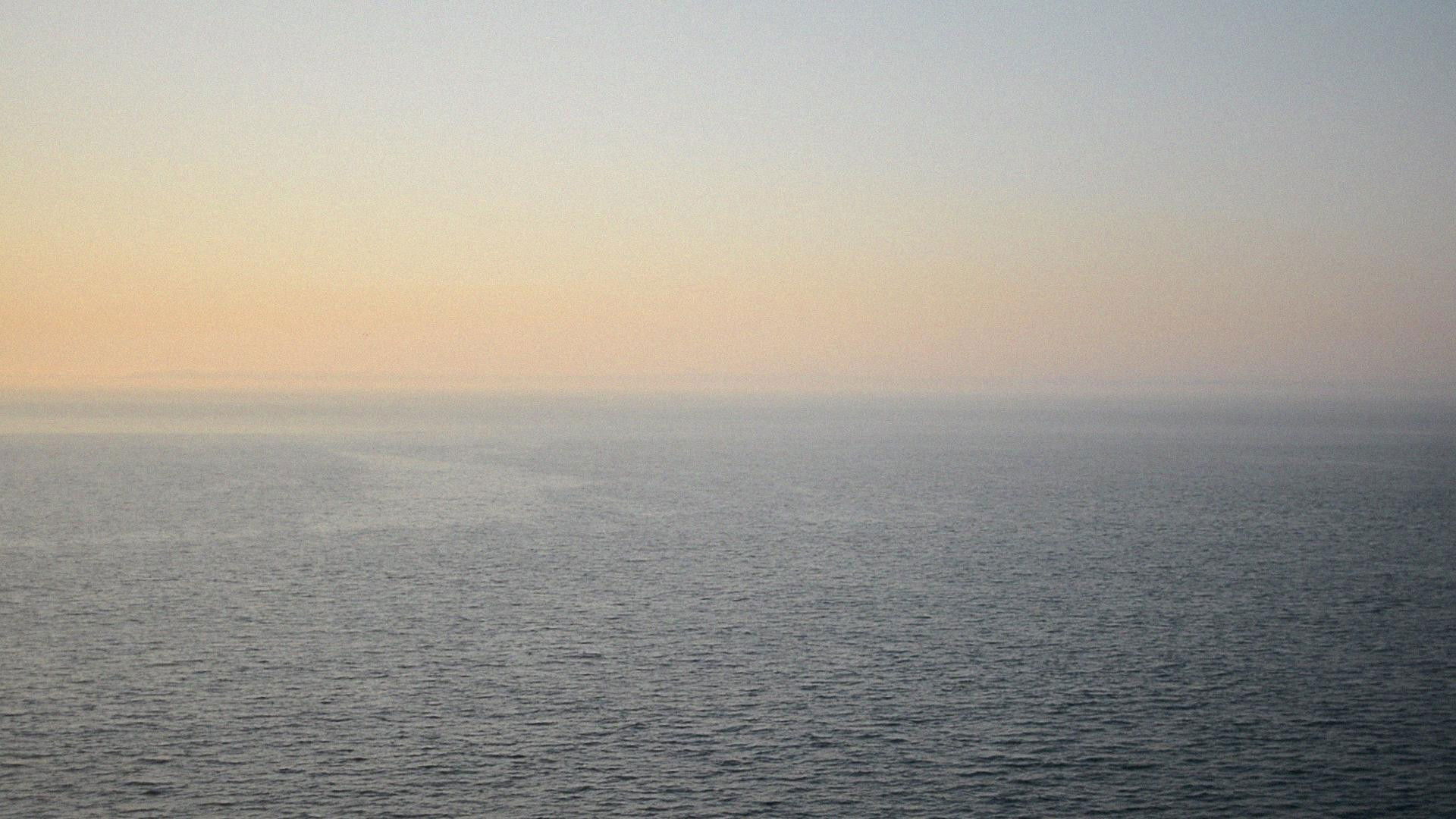 Backdrop for The Will to Act Rashly