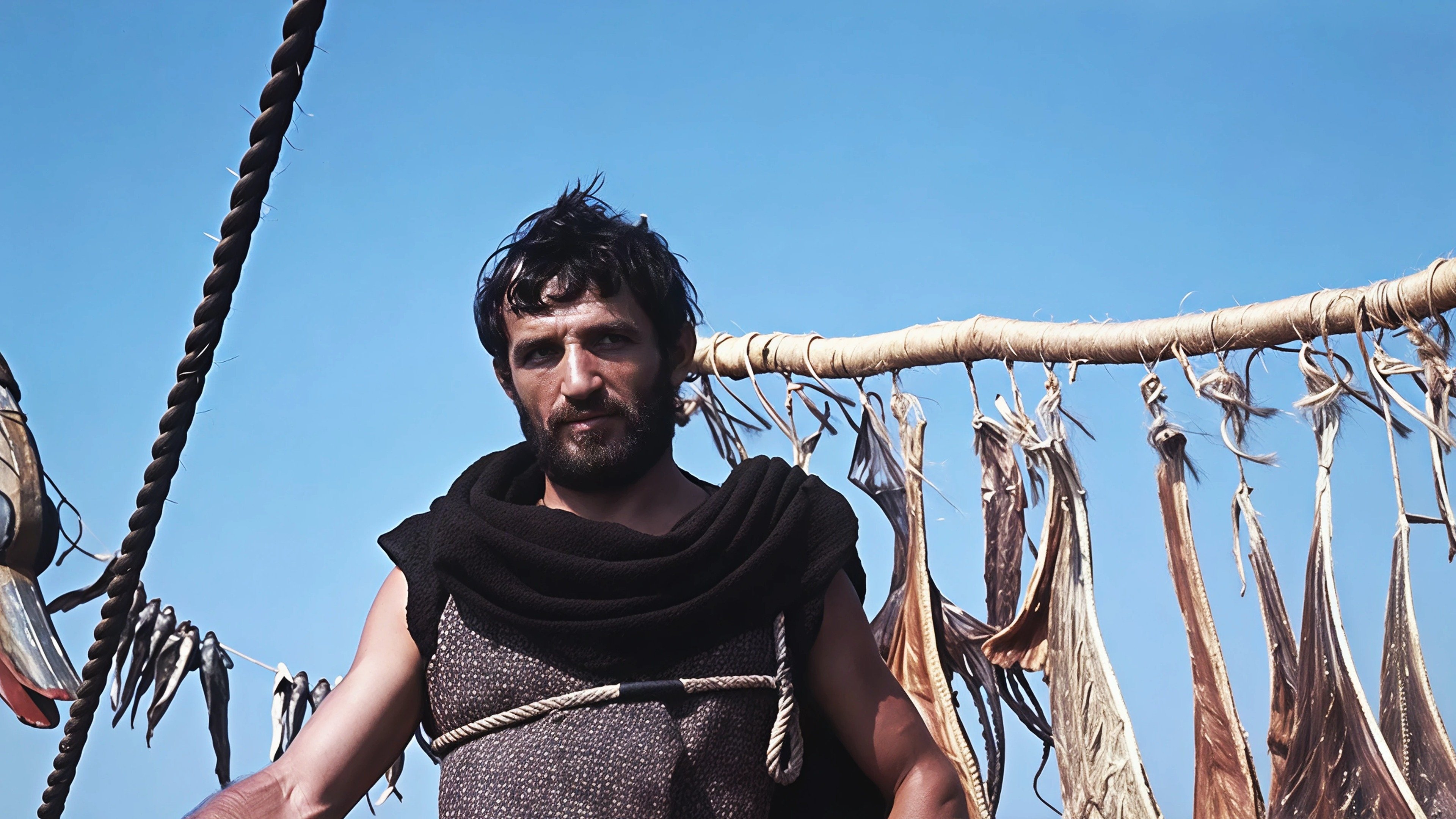 Backdrop for The Odyssey