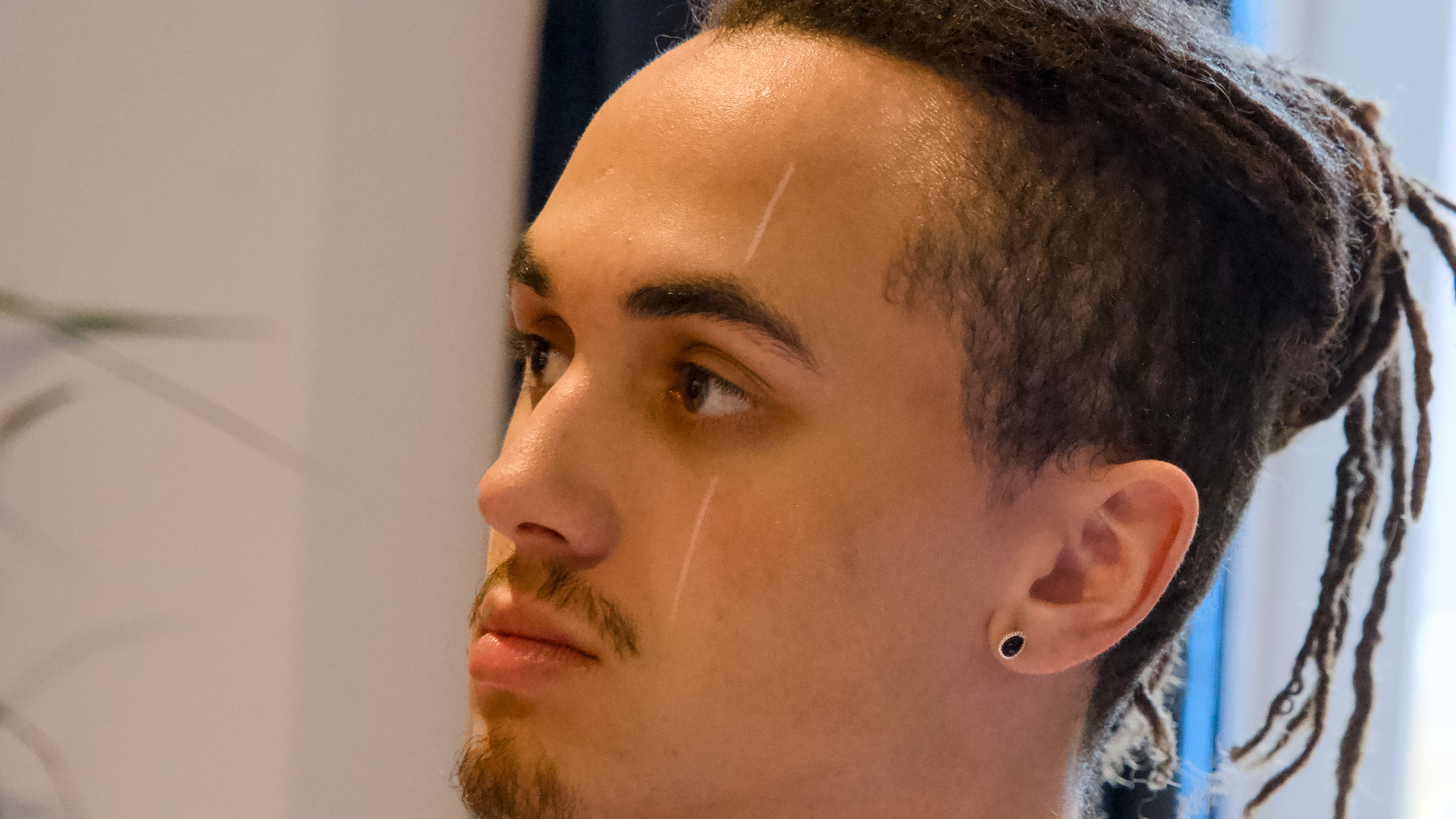 Backdrop for Artificial