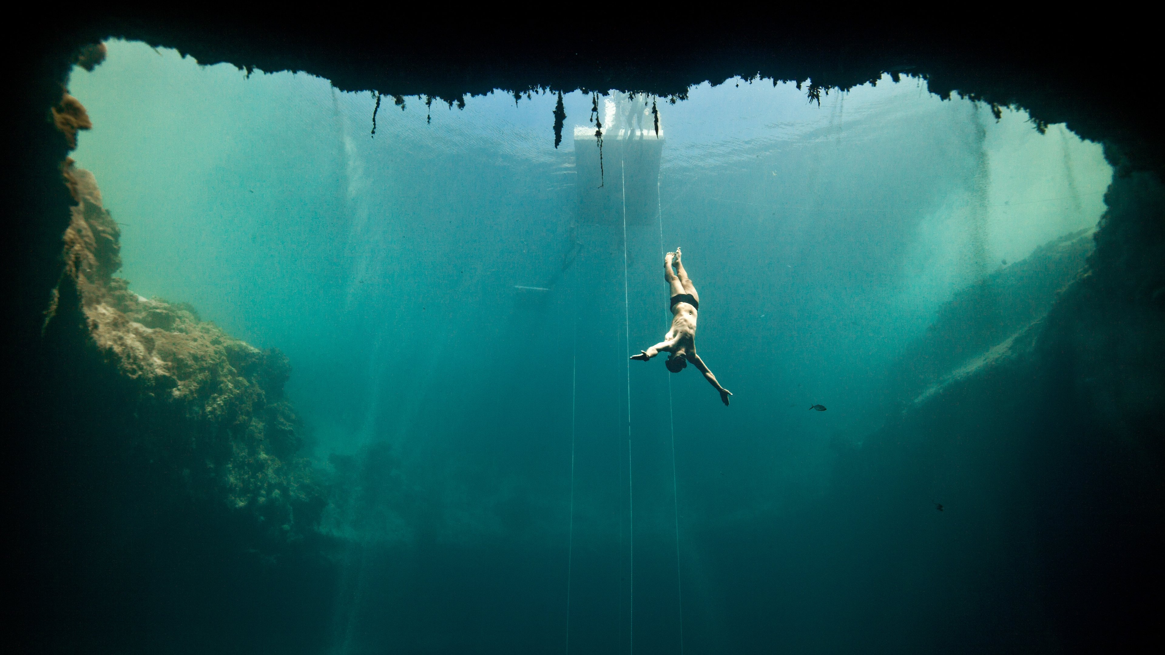 Backdrop for Dolphin Man