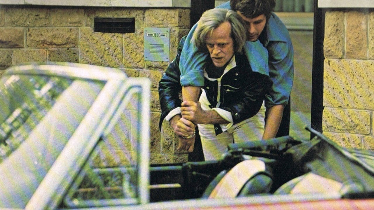 Backdrop for The Net