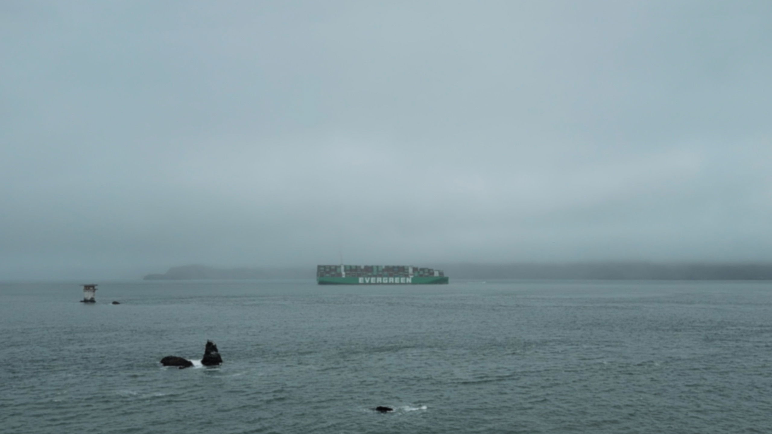 Backdrop for Milestone No. 3