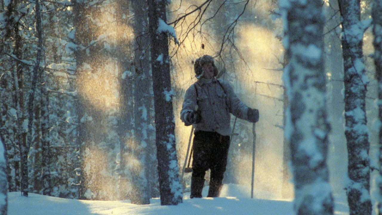 Backdrop for Nuoruuteni savotat