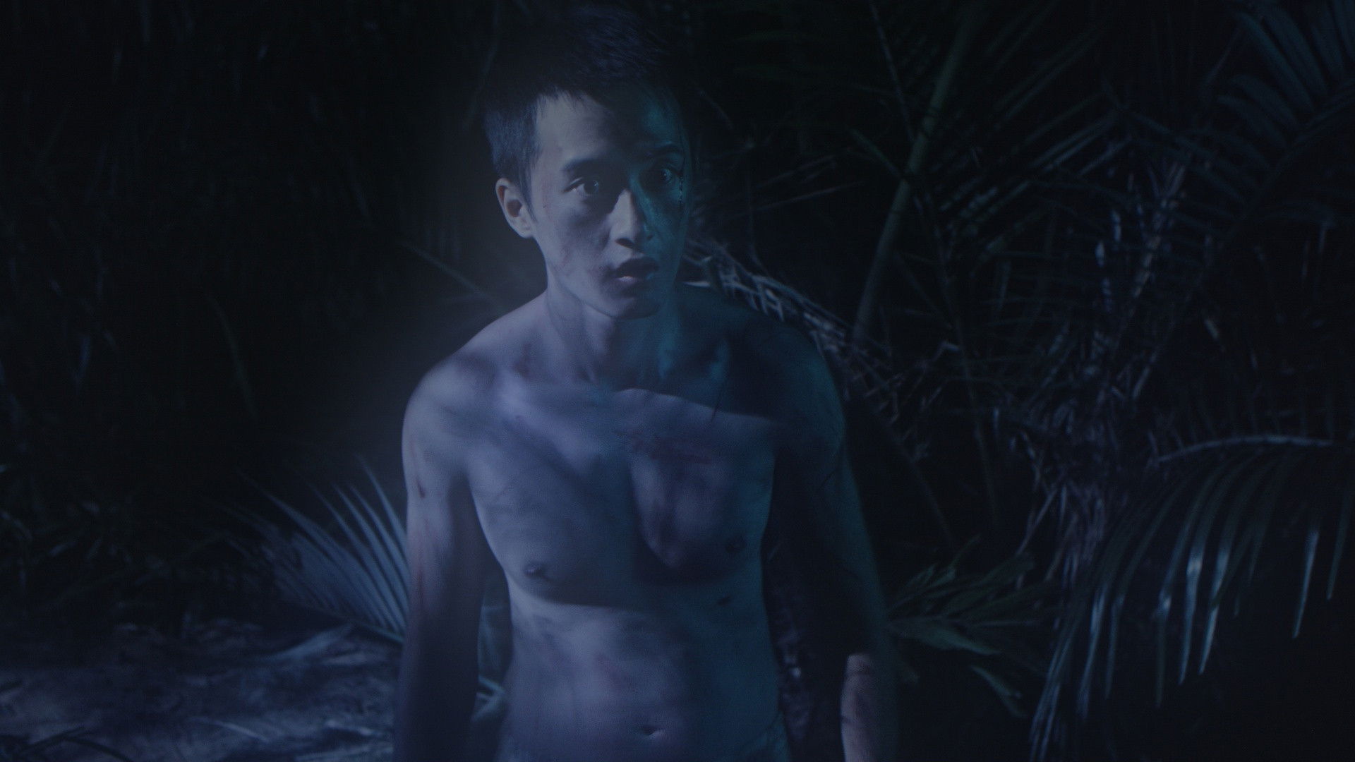 Backdrop for Green Grass, Pale Fire