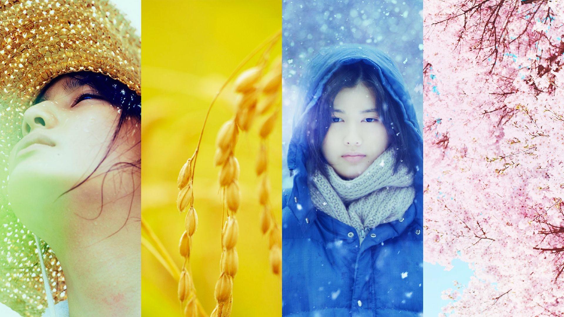 Backdrop for Little Forest: Four Seasons