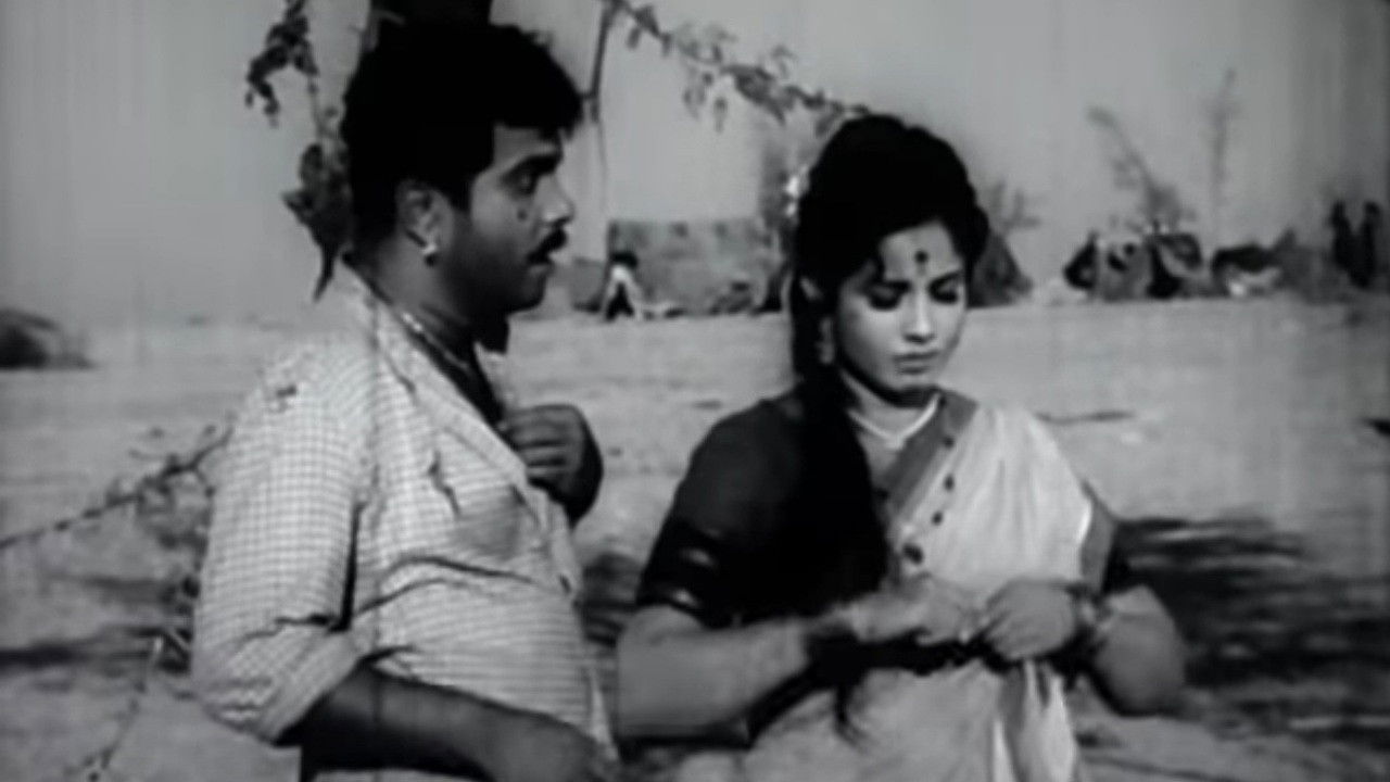 Backdrop for A Mountain Sparrow