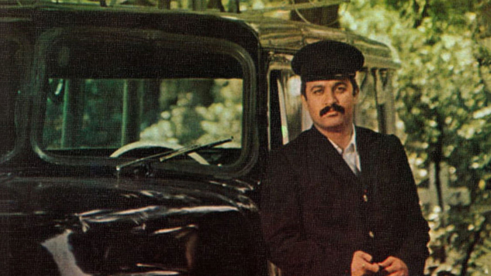 Backdrop for Despite Everything