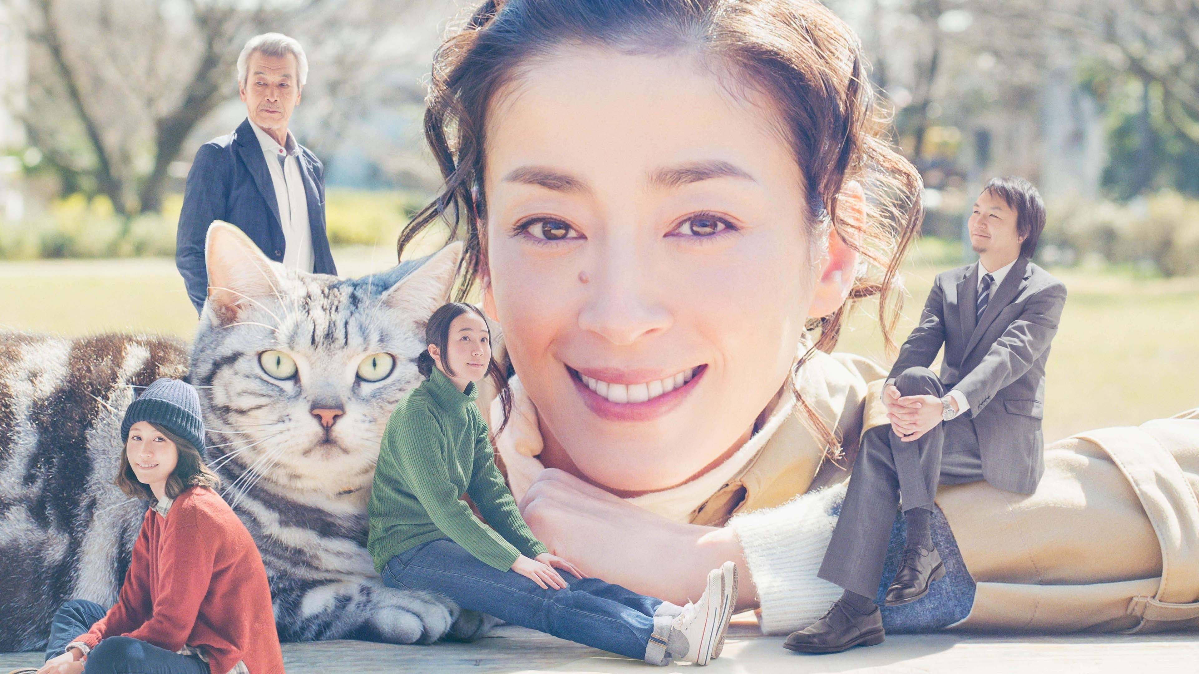 Backdrop for Gu Gu the Cat