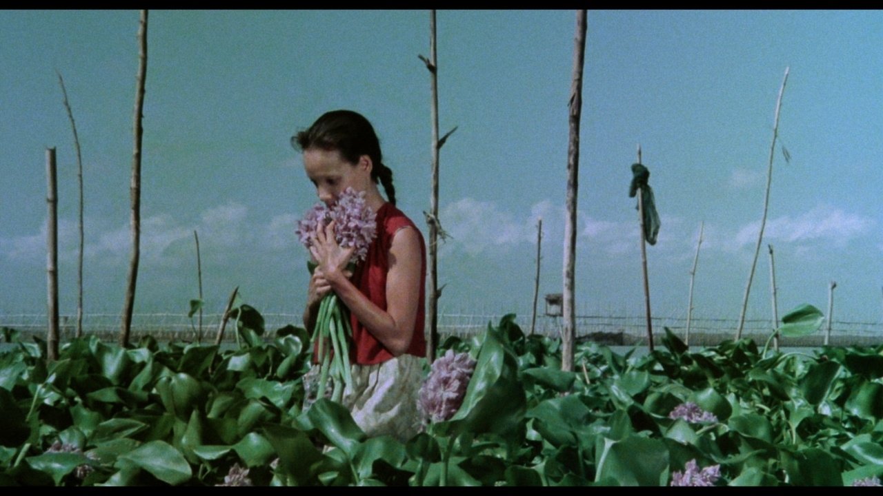 Backdrop for A Speck in the Water