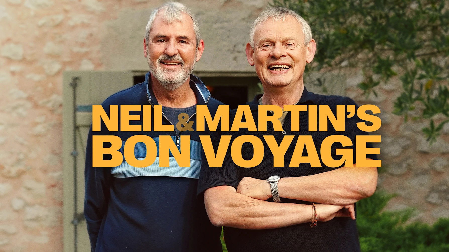 Backdrop for Neil & Martin's Bon Voyage