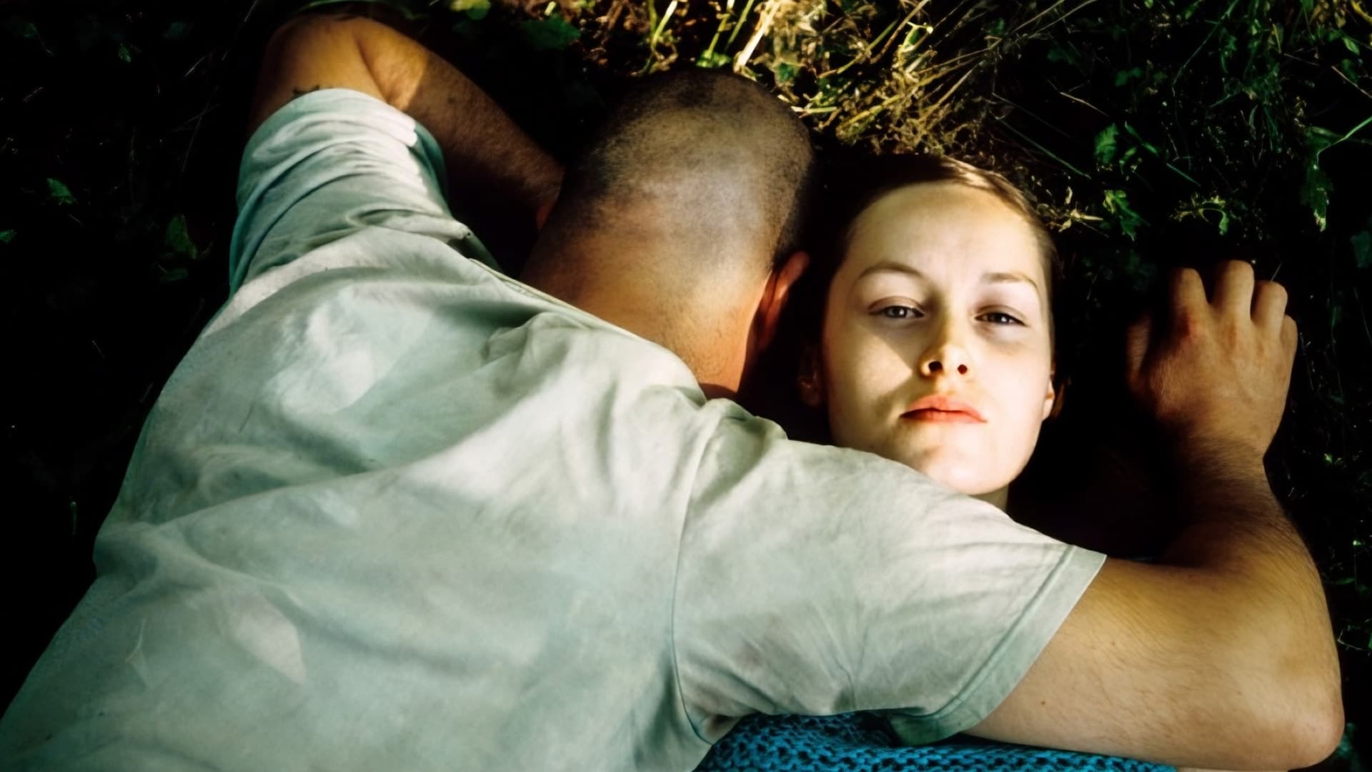 Backdrop for Flanders