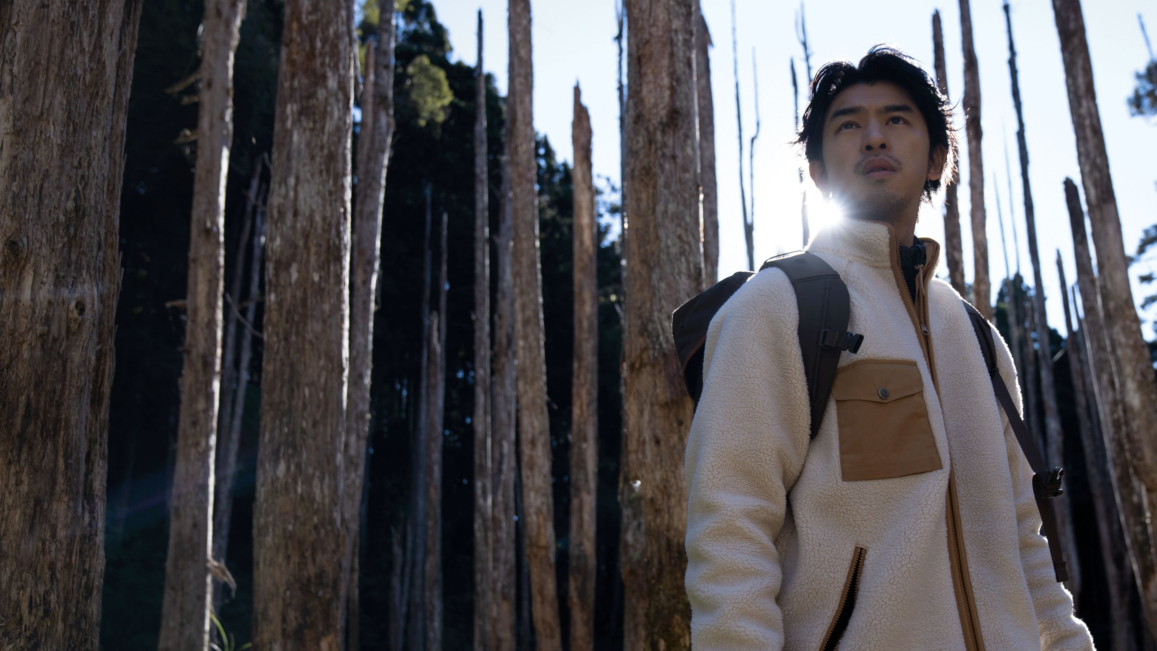 Backdrop for Extreme Forest