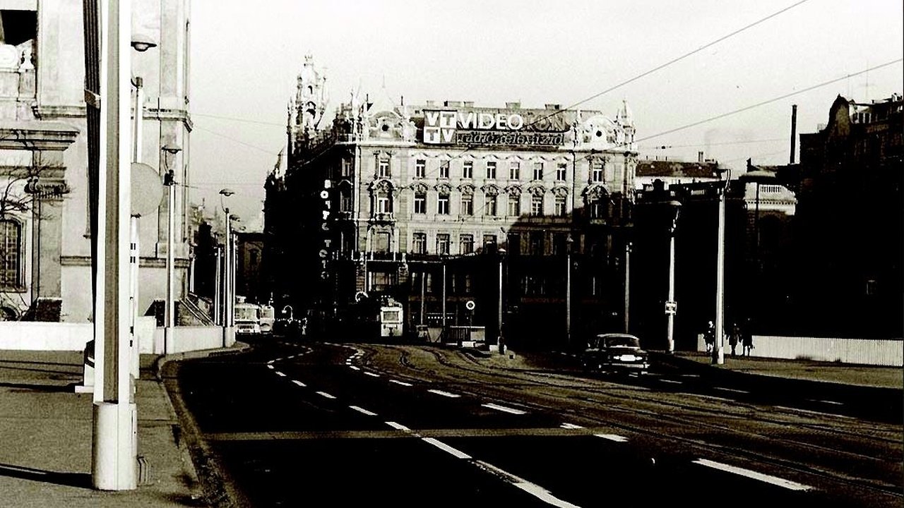 Backdrop for Odd years