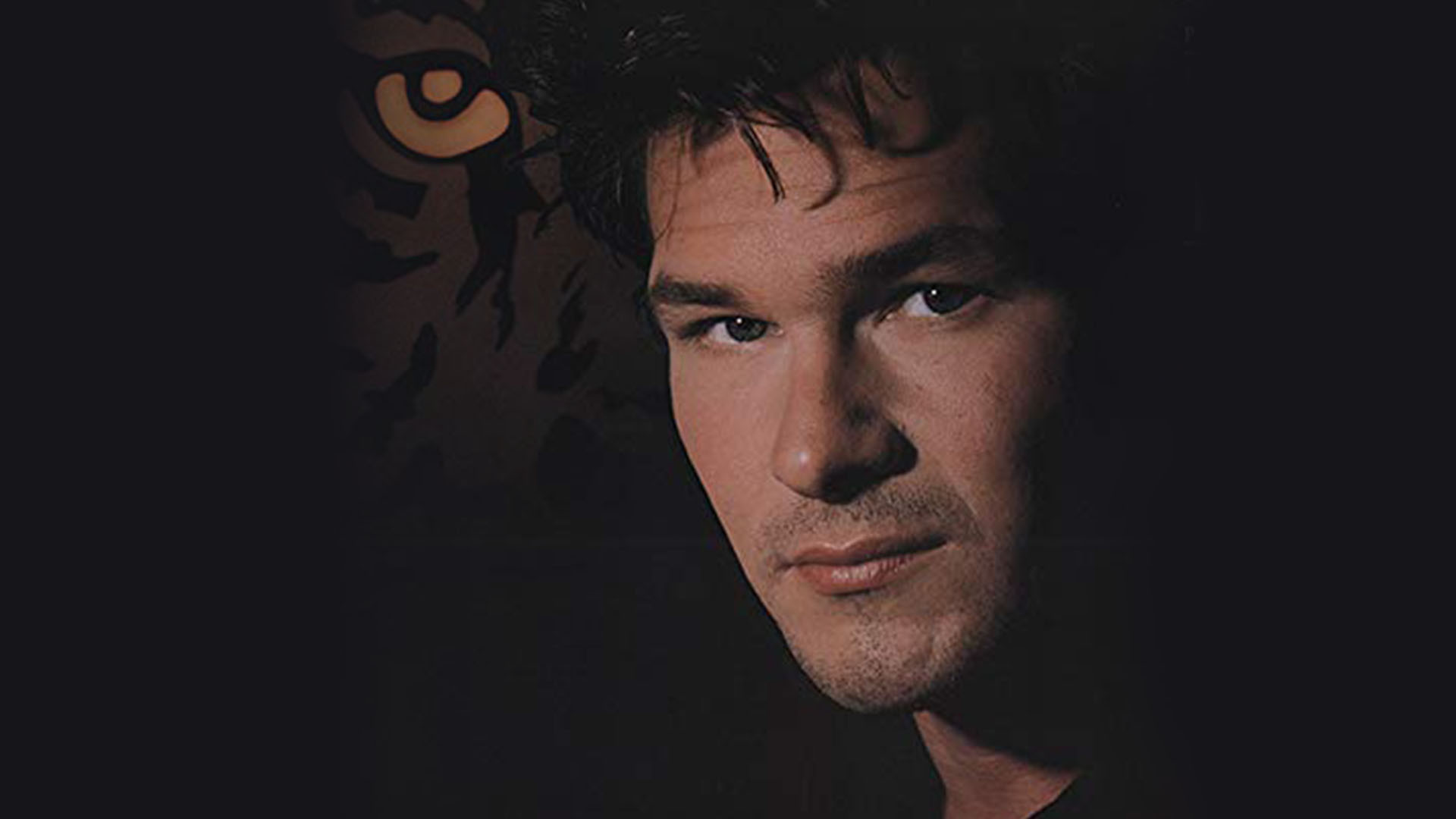 Backdrop for Tiger Warsaw