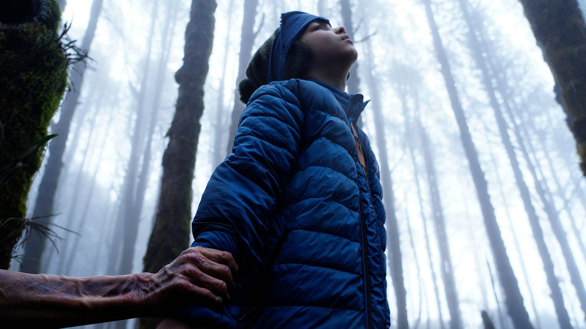 Backdrop for Tarumama