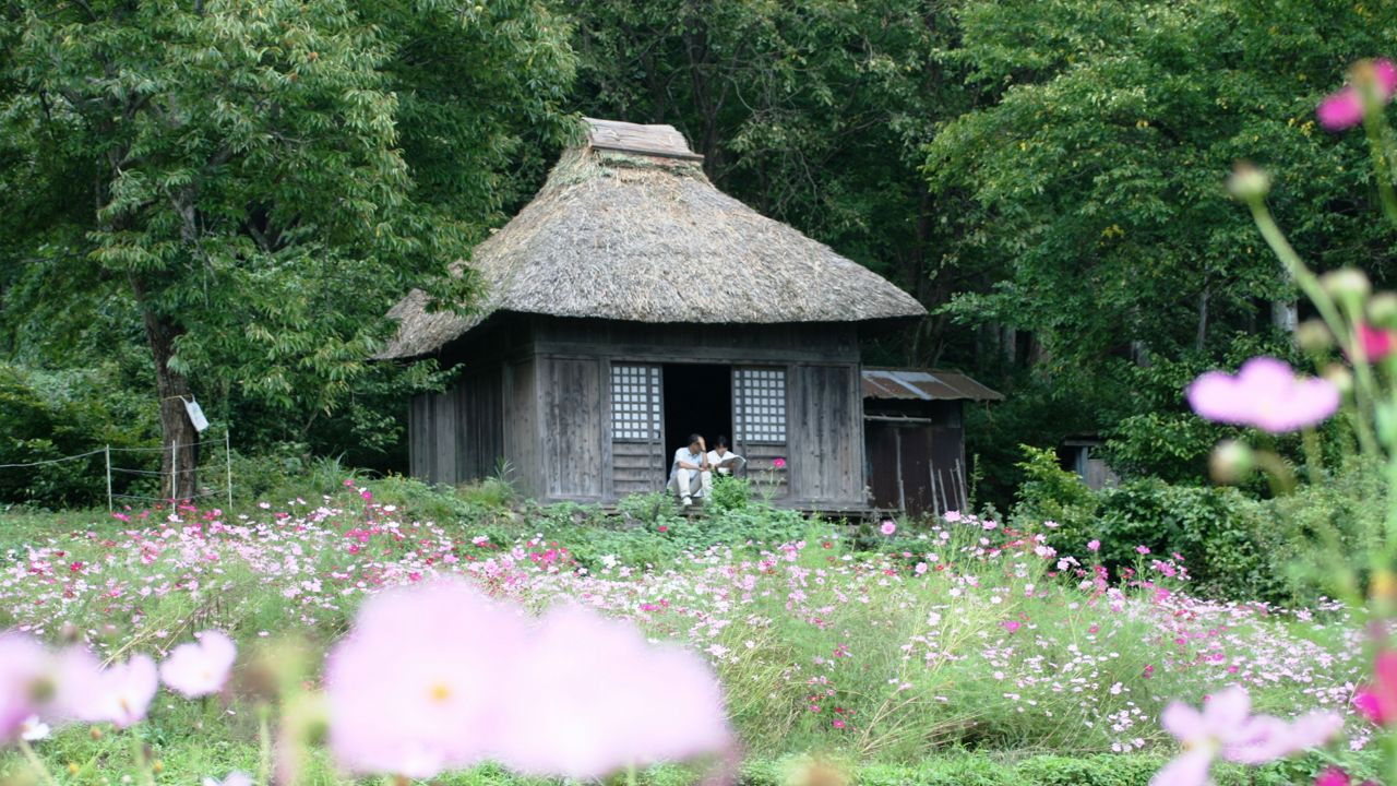 Backdrop for Letter from the Mountain