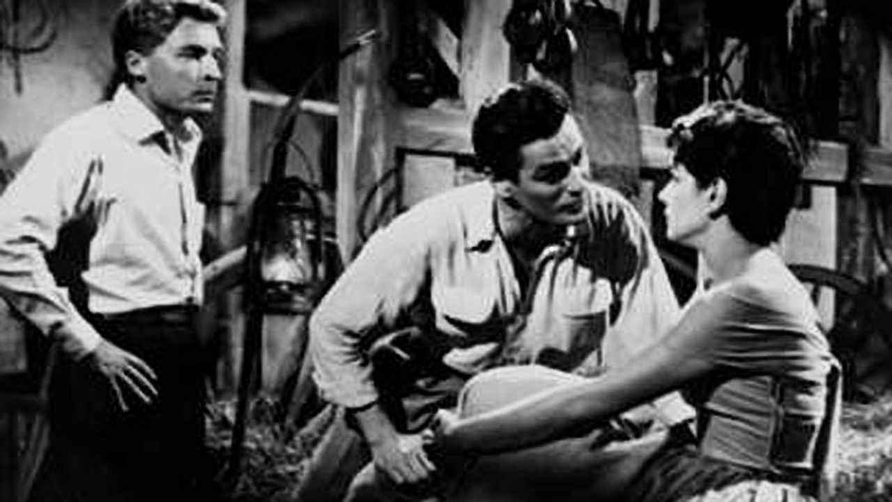 Backdrop for La delatora