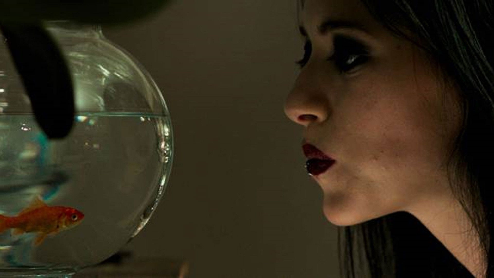 Backdrop for Black Wedding