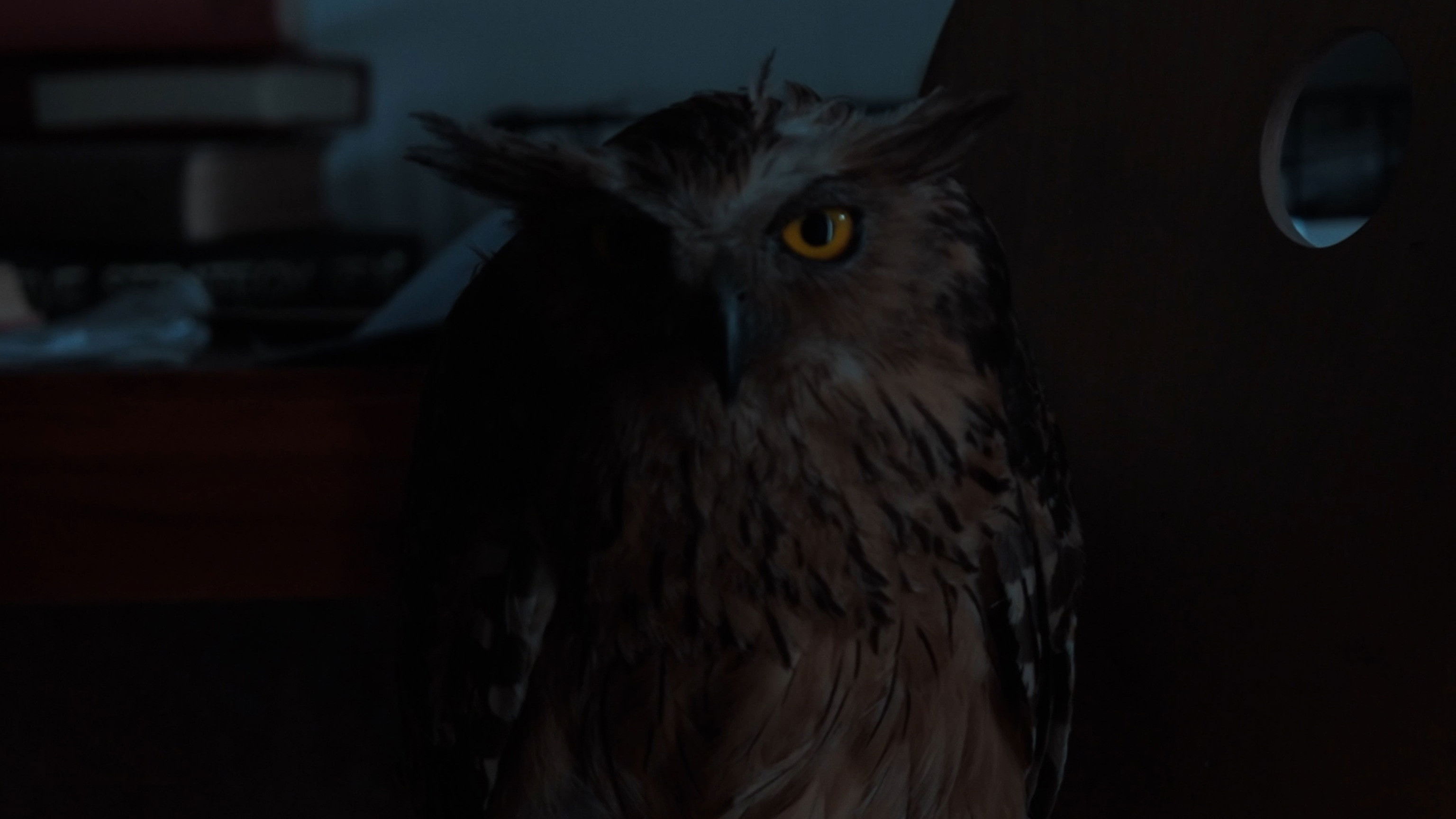 Backdrop for On Being Almost