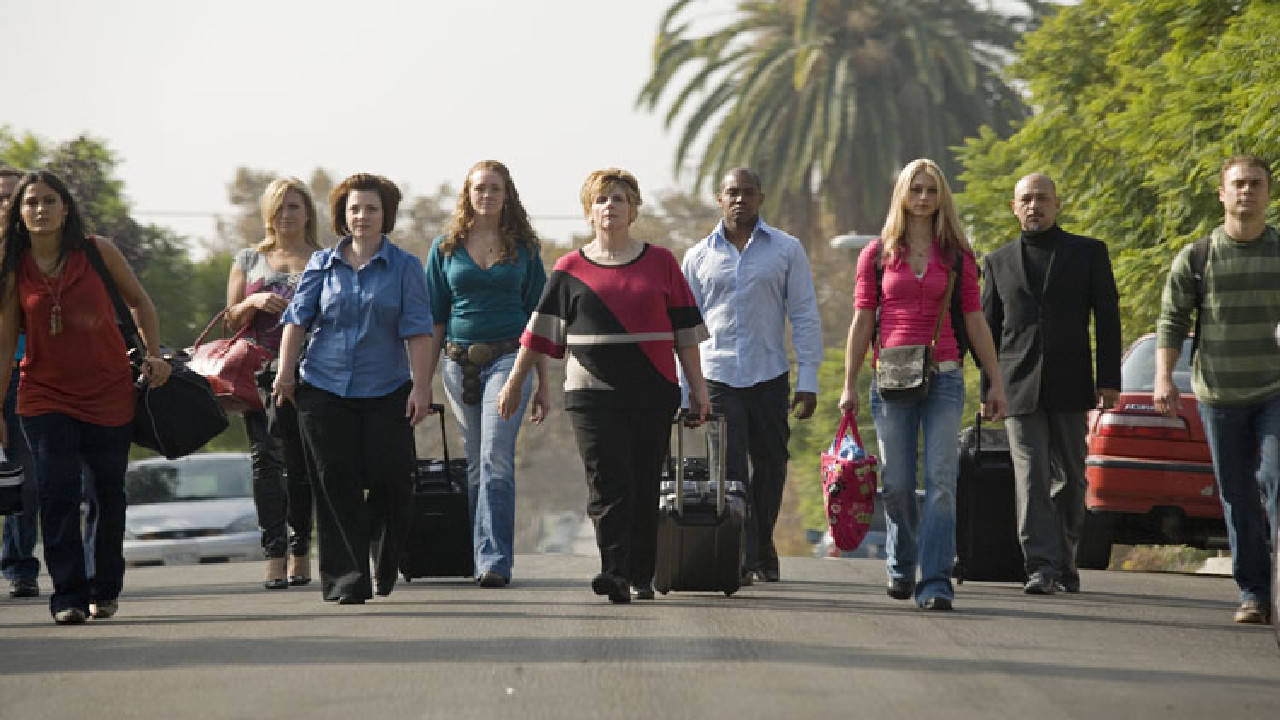 Backdrop for Groomer Has It