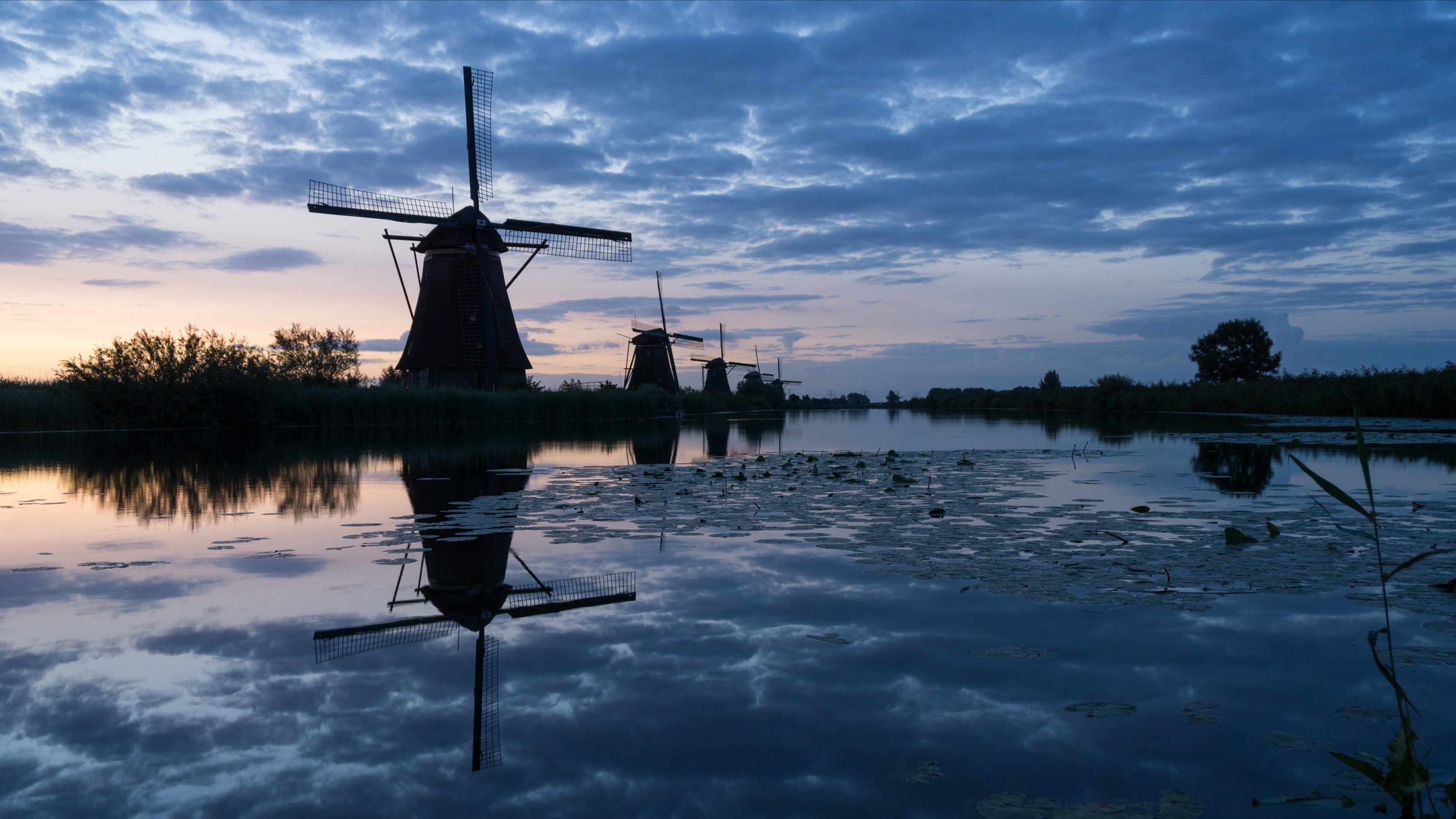 Backdrop for Sex, Drugs & Bicycles