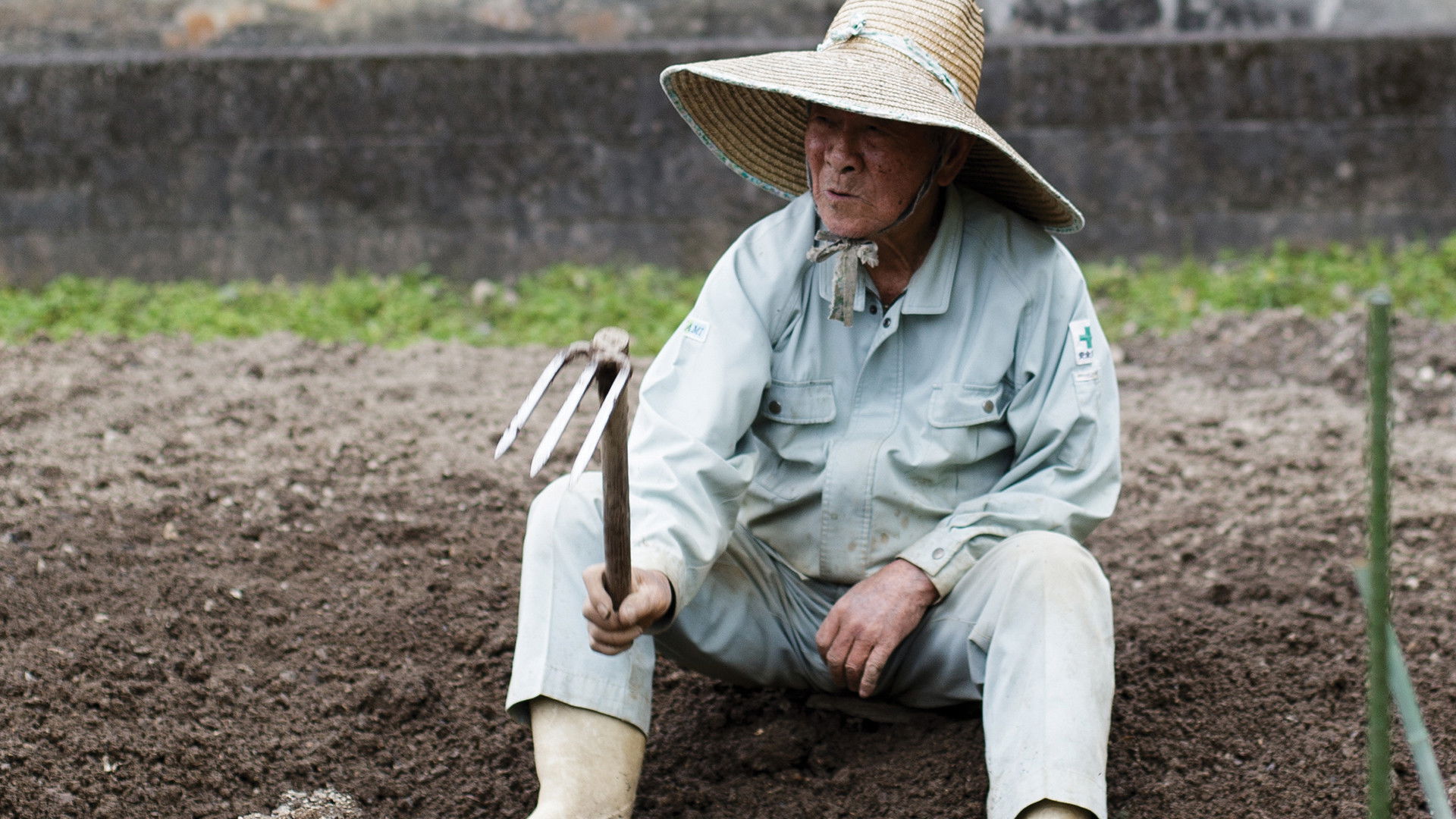 Backdrop for The Longevity Film