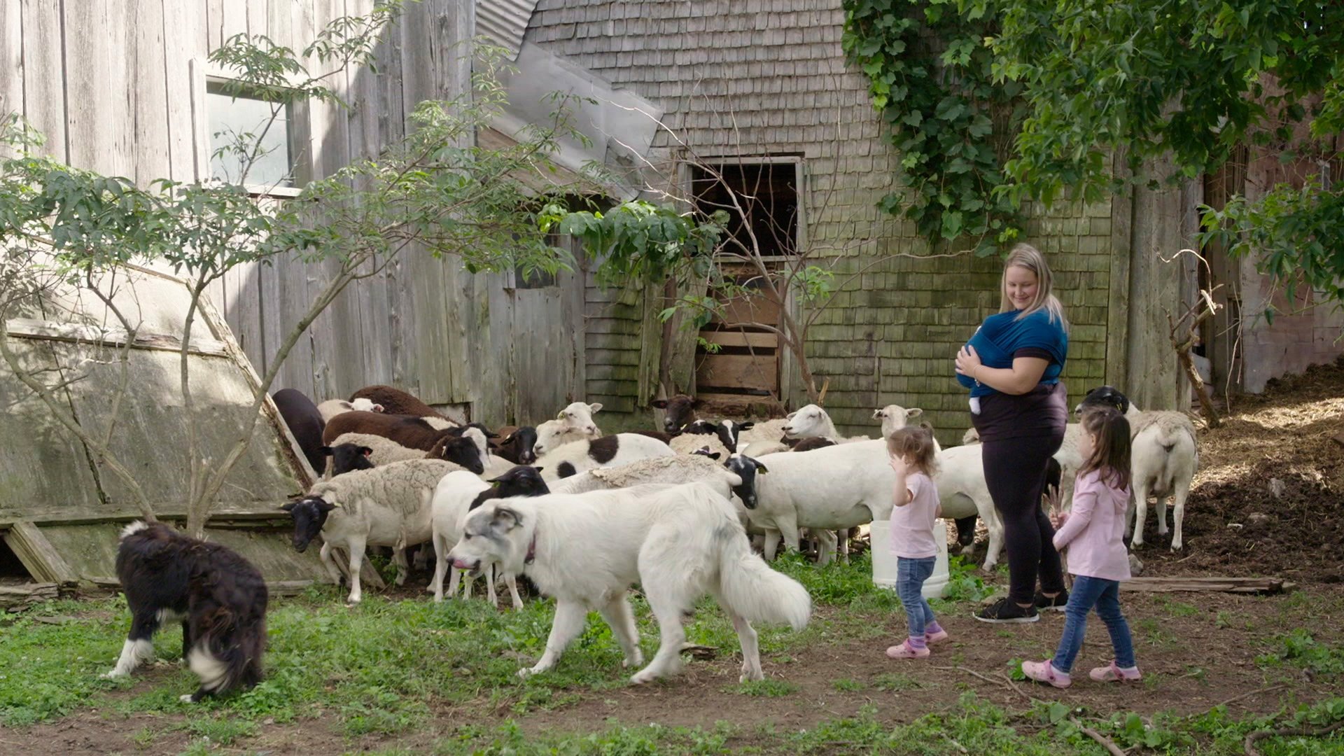 Backdrop for La famille est dans le pré