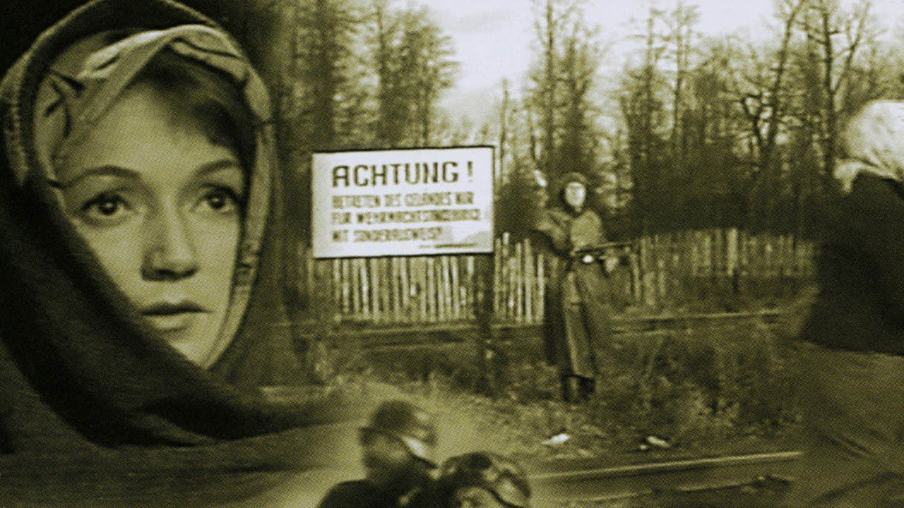 Backdrop for We Are Taking All The Fire