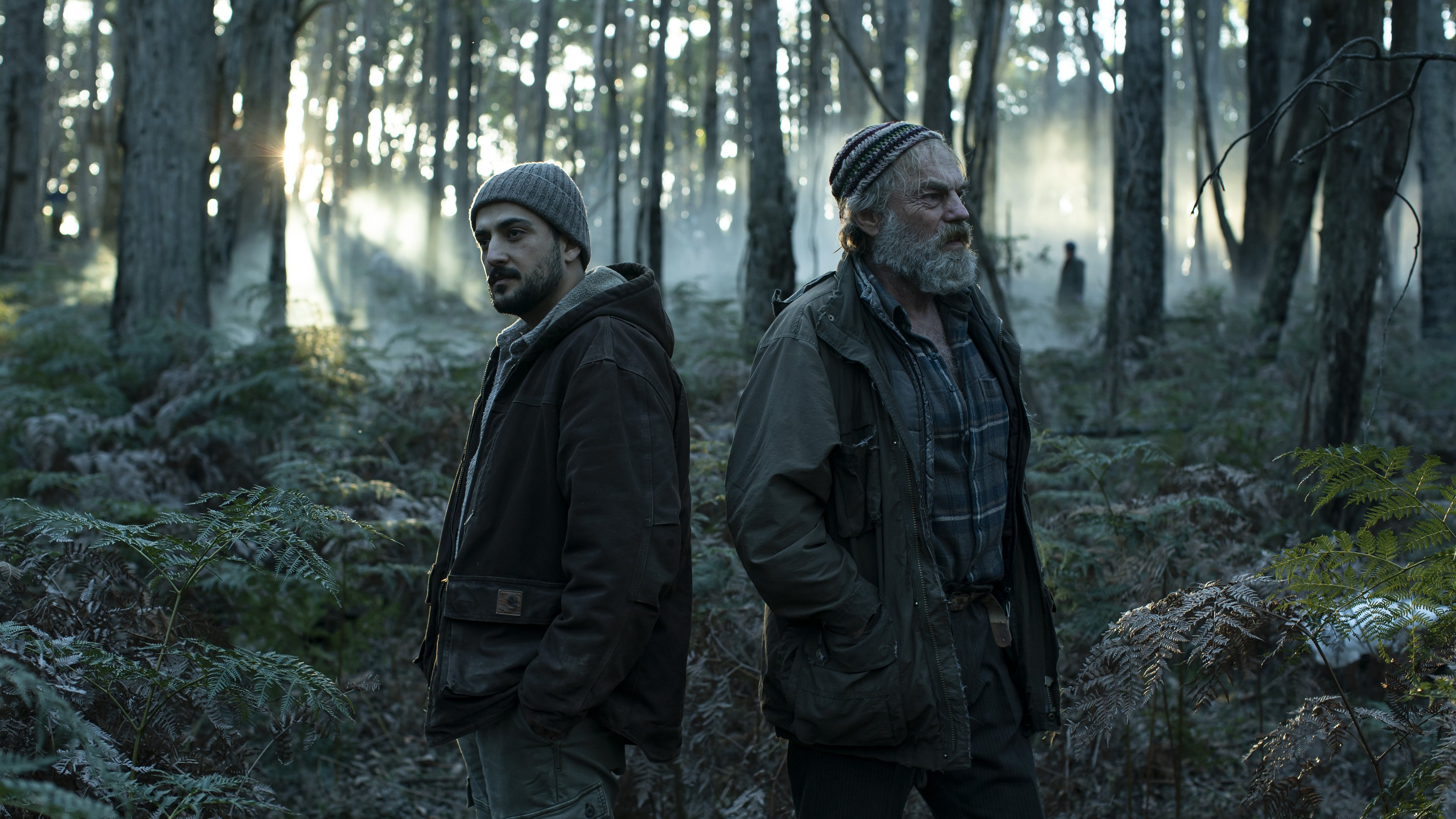 Backdrop for The Rooster