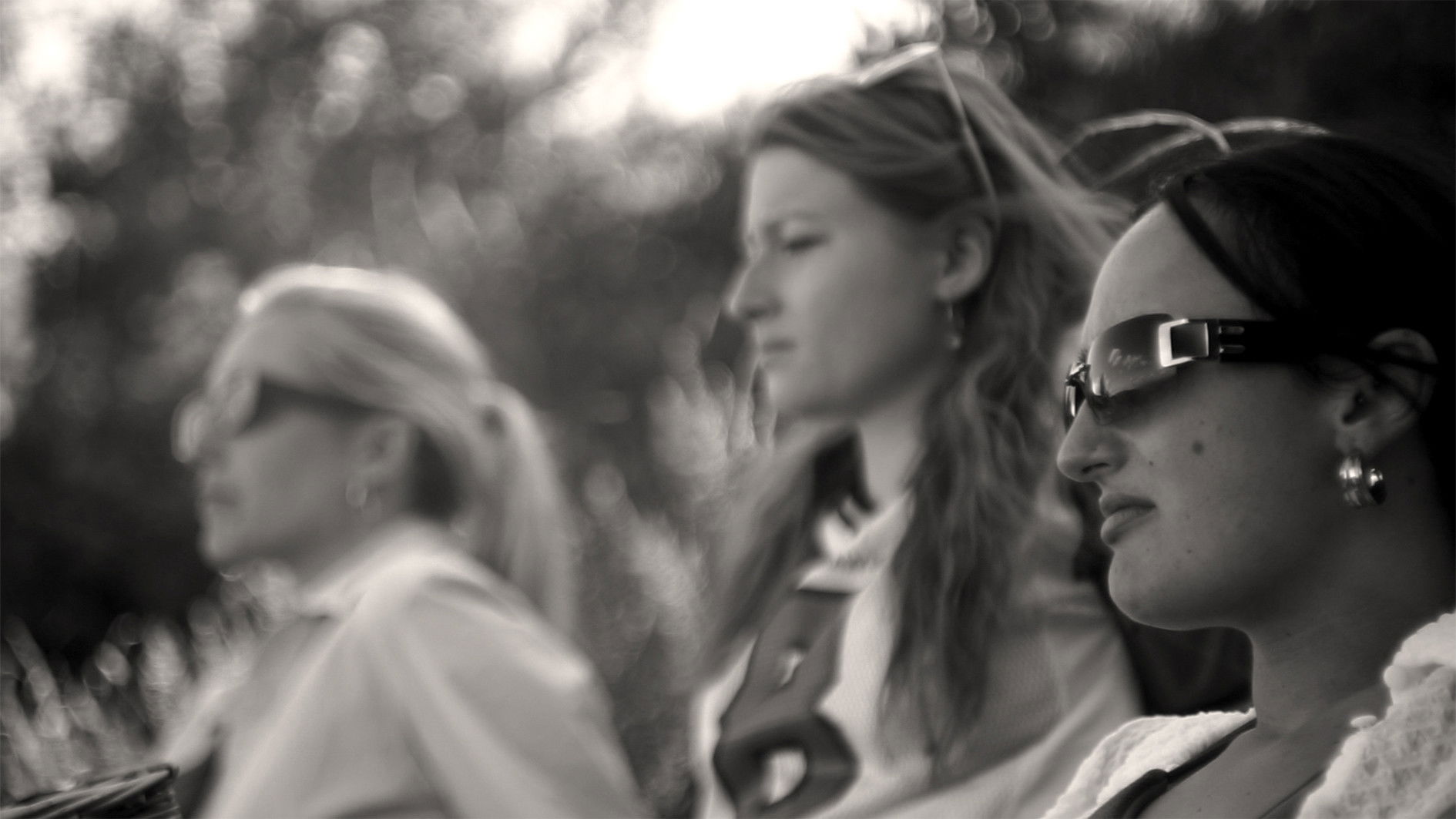 Backdrop for Wine Without Roses