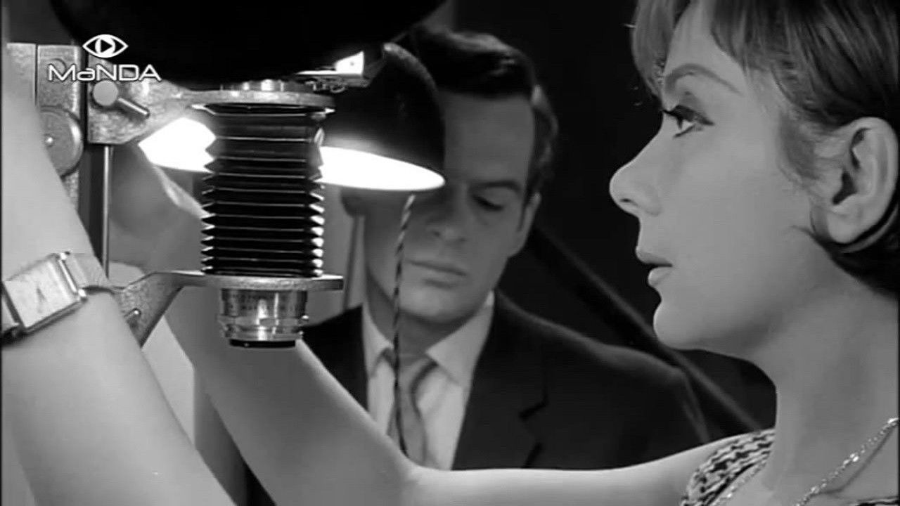 Backdrop for Haber's Photo Shop