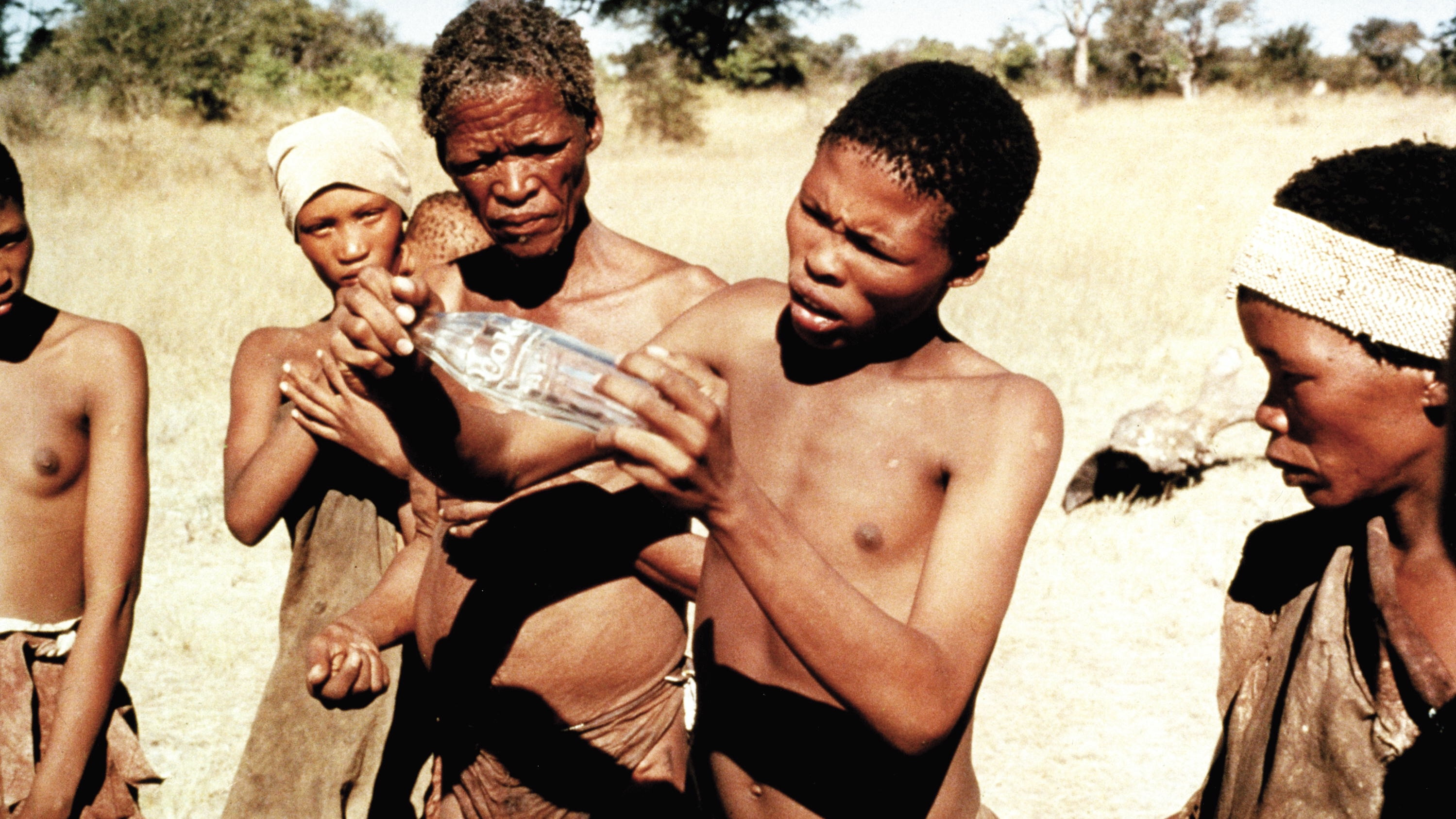 Backdrop for The Gods Must Be Crazy: Crazy Safari