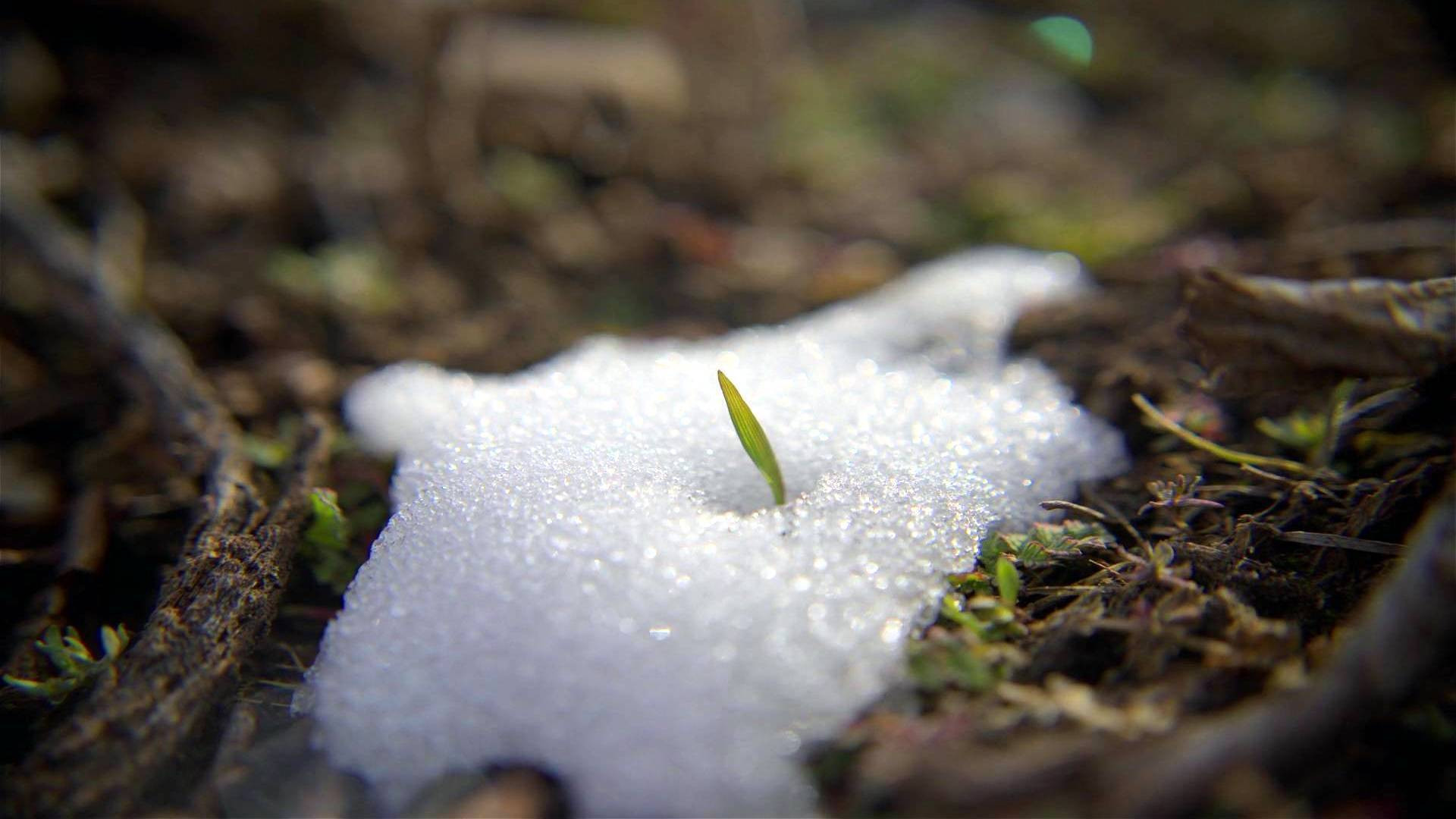 Backdrop for In Search of Balance