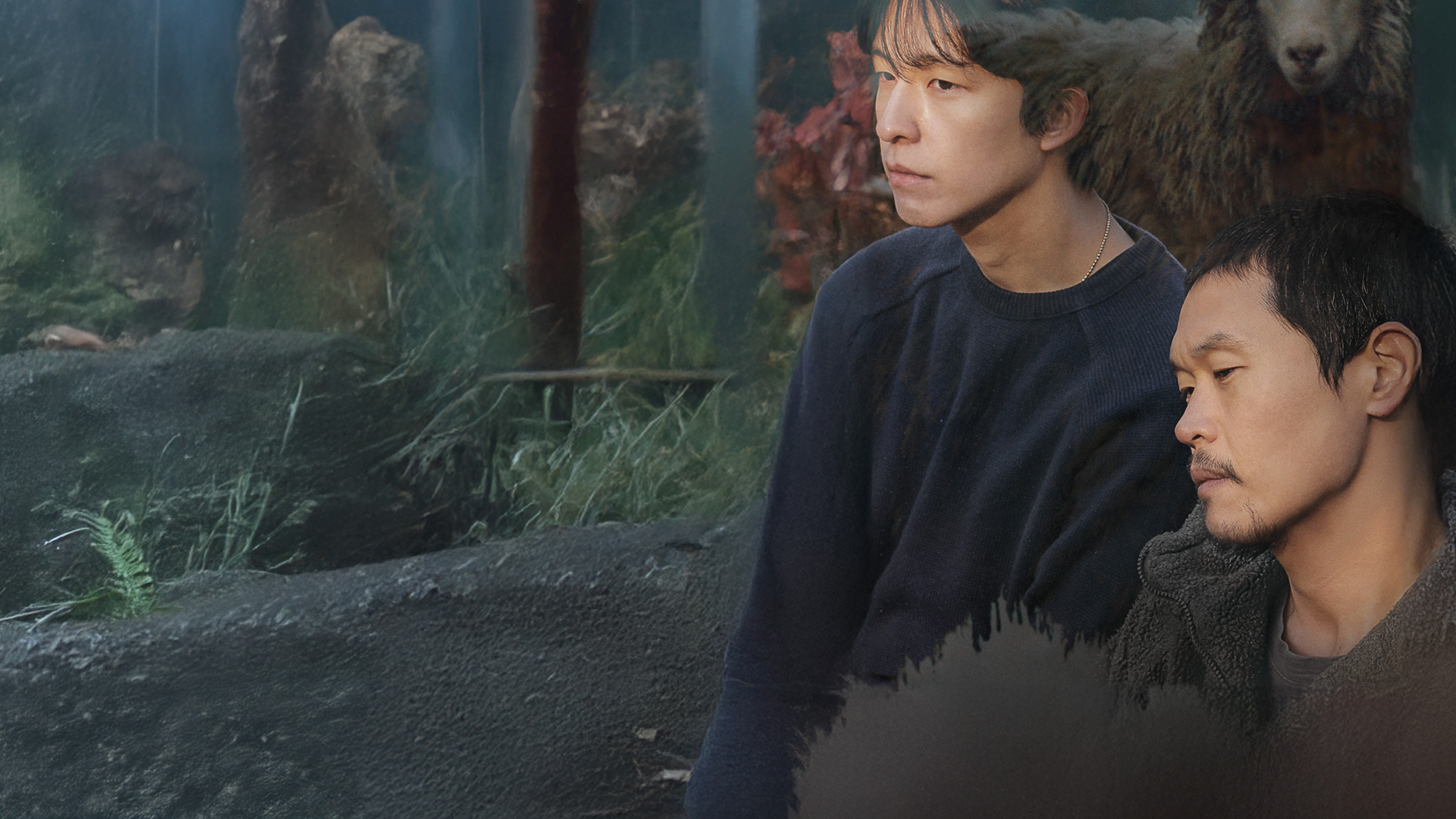 Backdrop for A Distant Place