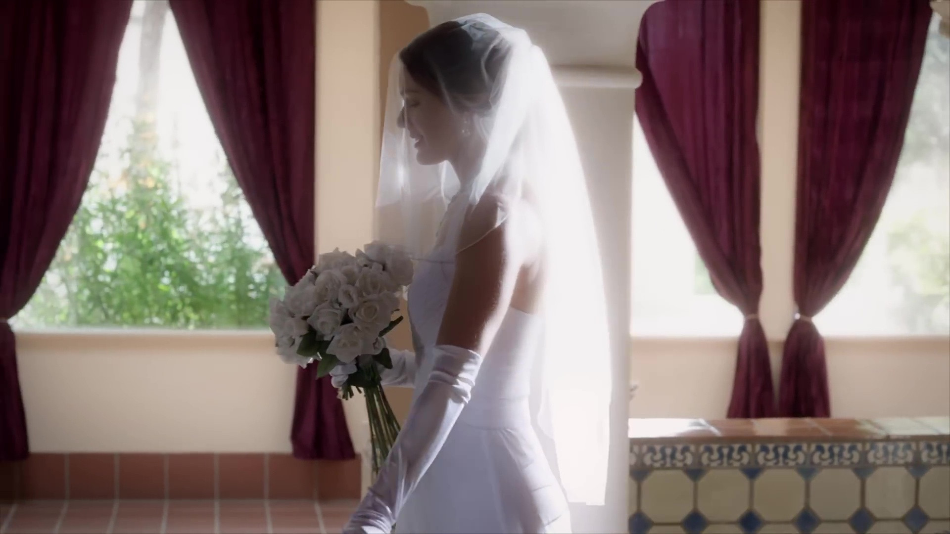 Backdrop for A Bride's Revenge