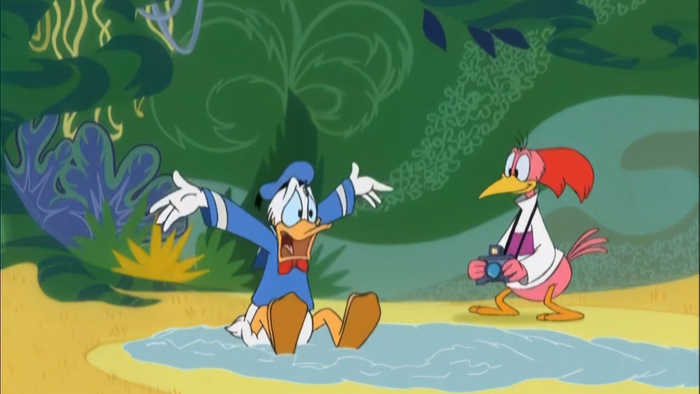 Backdrop for Bird Brained Donald