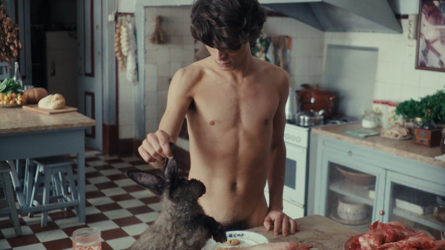 Backdrop for The Hunters