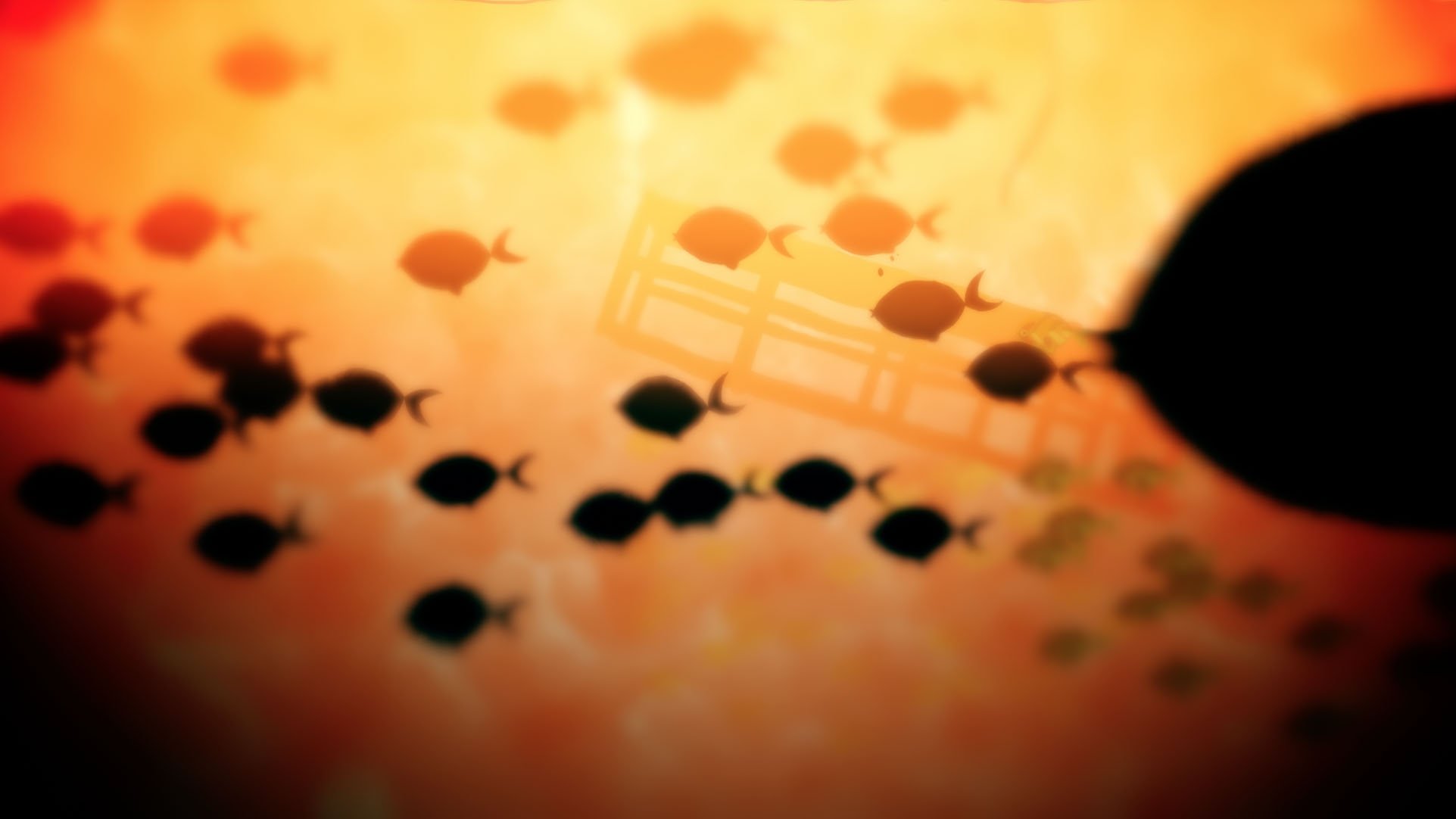 Backdrop for White Lobster